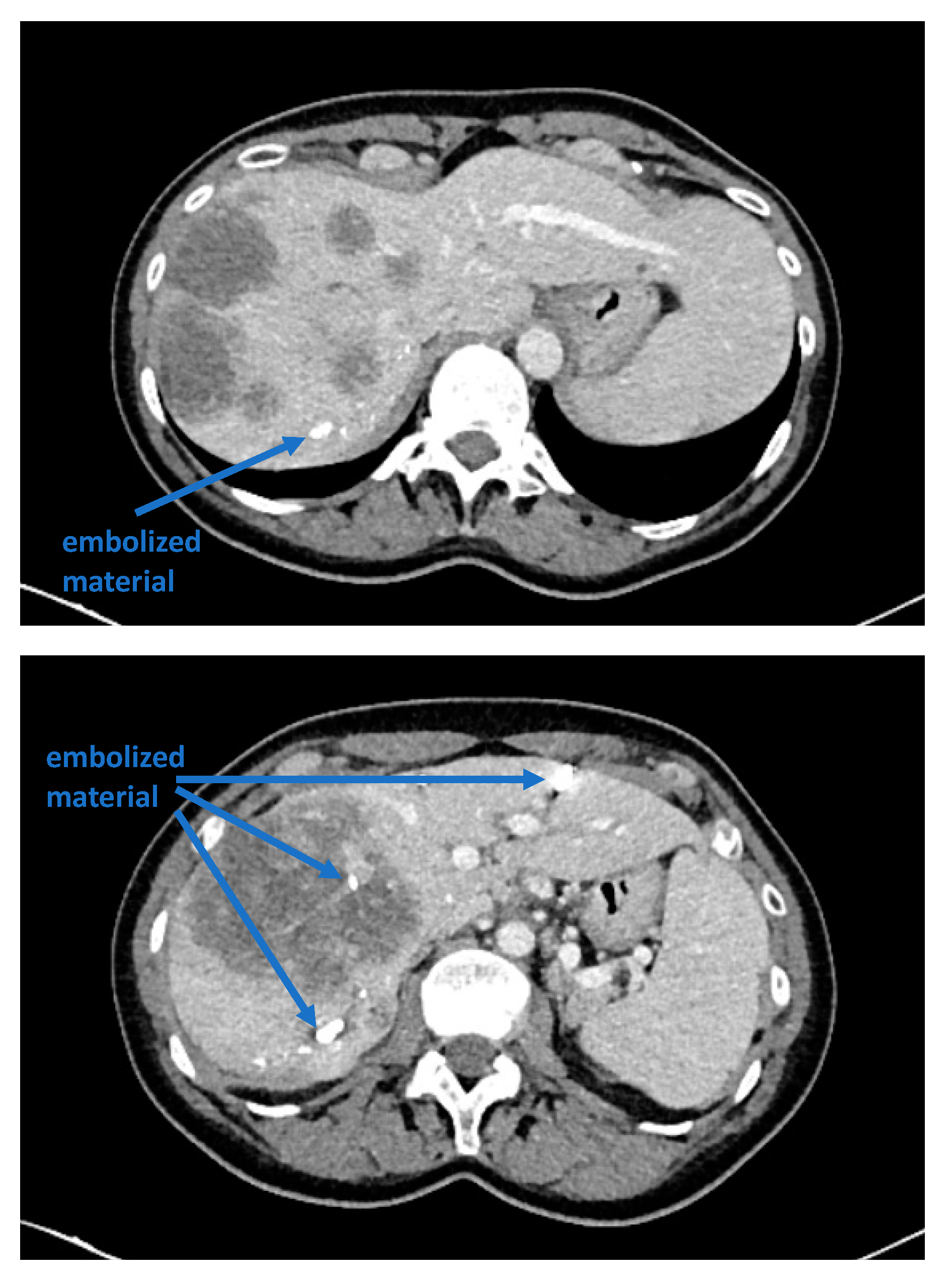 Curroncol 30 00249 g001