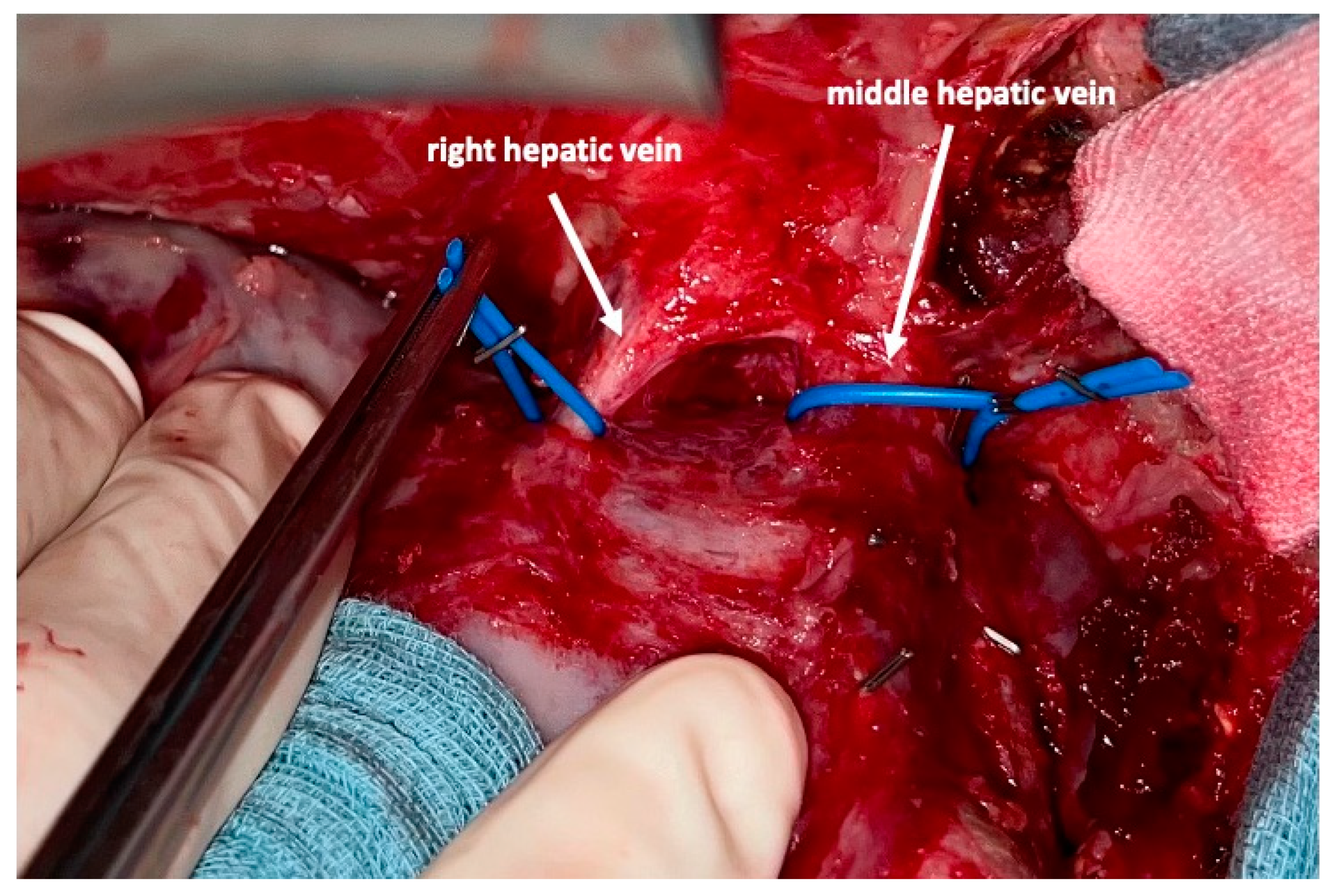 Curroncol 30 00249 g004