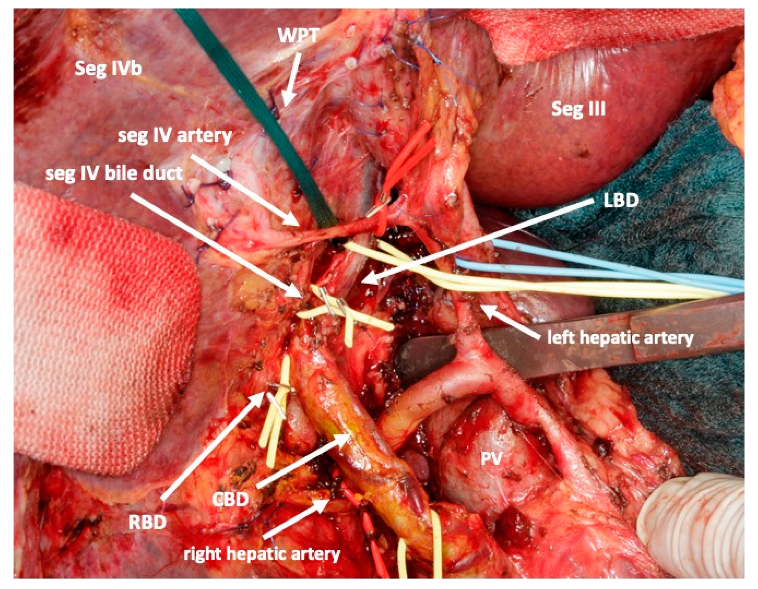 Curroncol 30 00249 g005