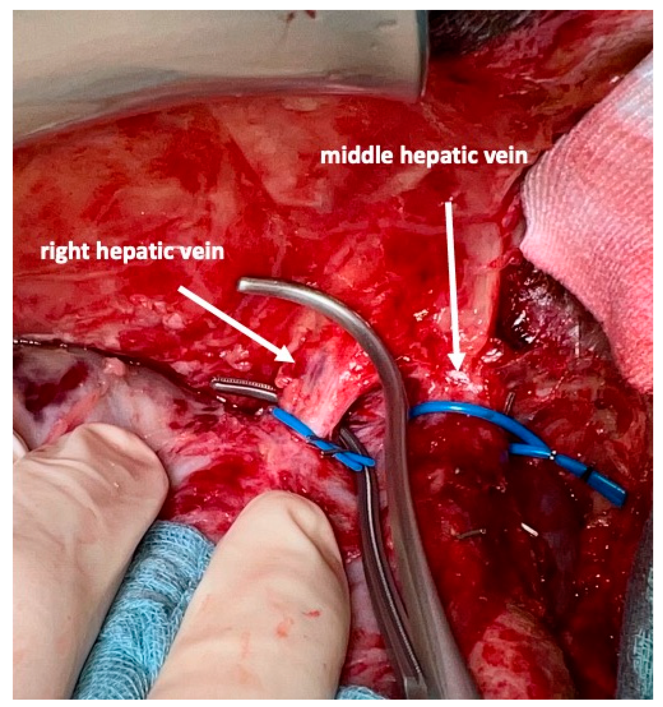 Curroncol 30 00249 g008