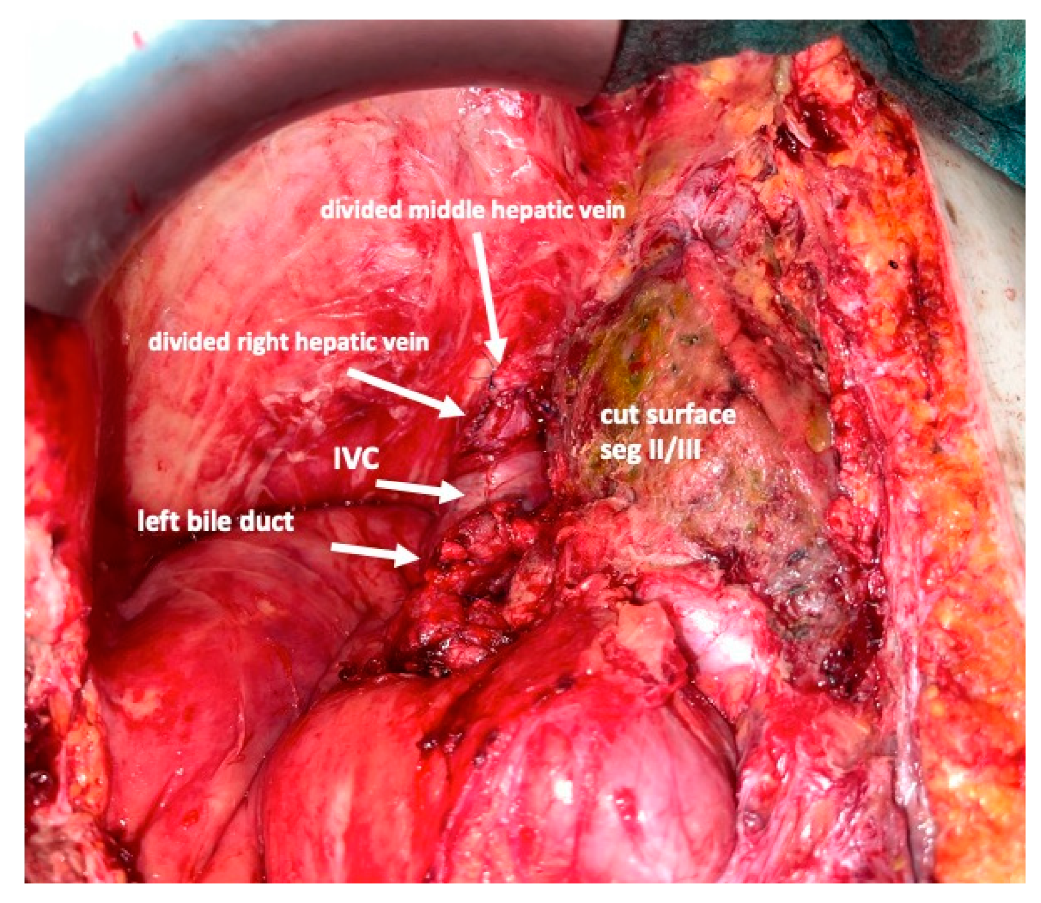 Curroncol 30 00249 g009