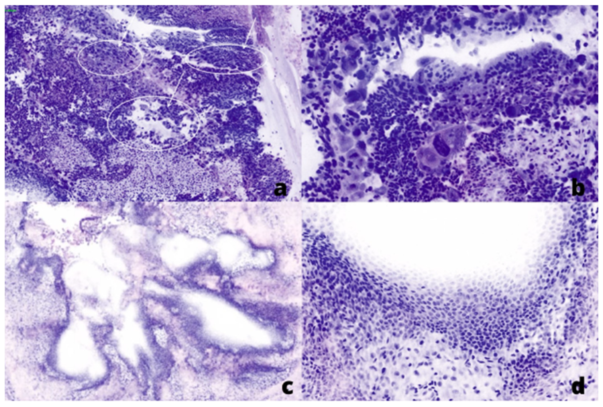 Curroncol 30 00259 g002 Curroncol 30 00259 g002