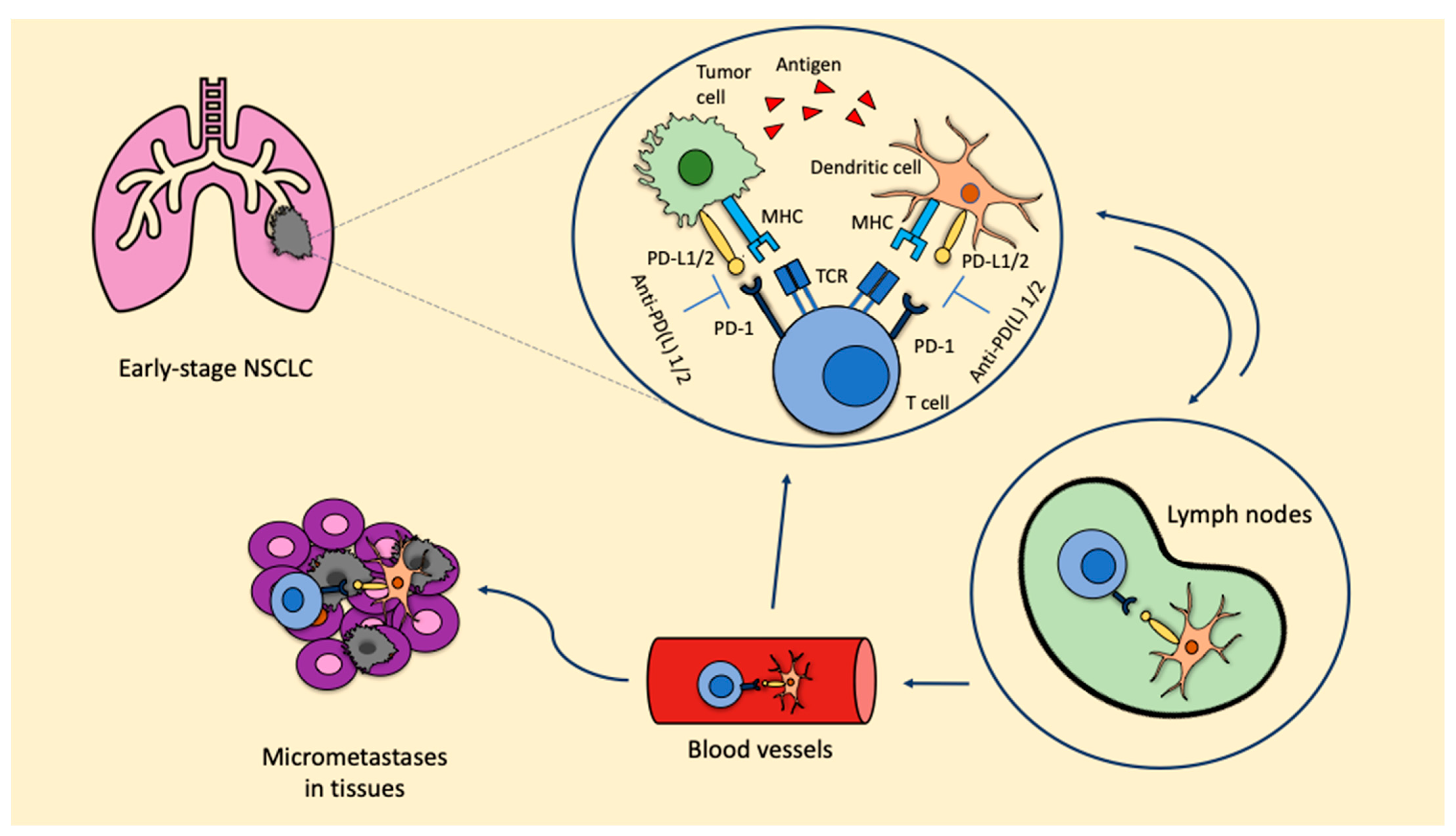 Curroncol 30 00280 g001 Curroncol 30 00280 g001
