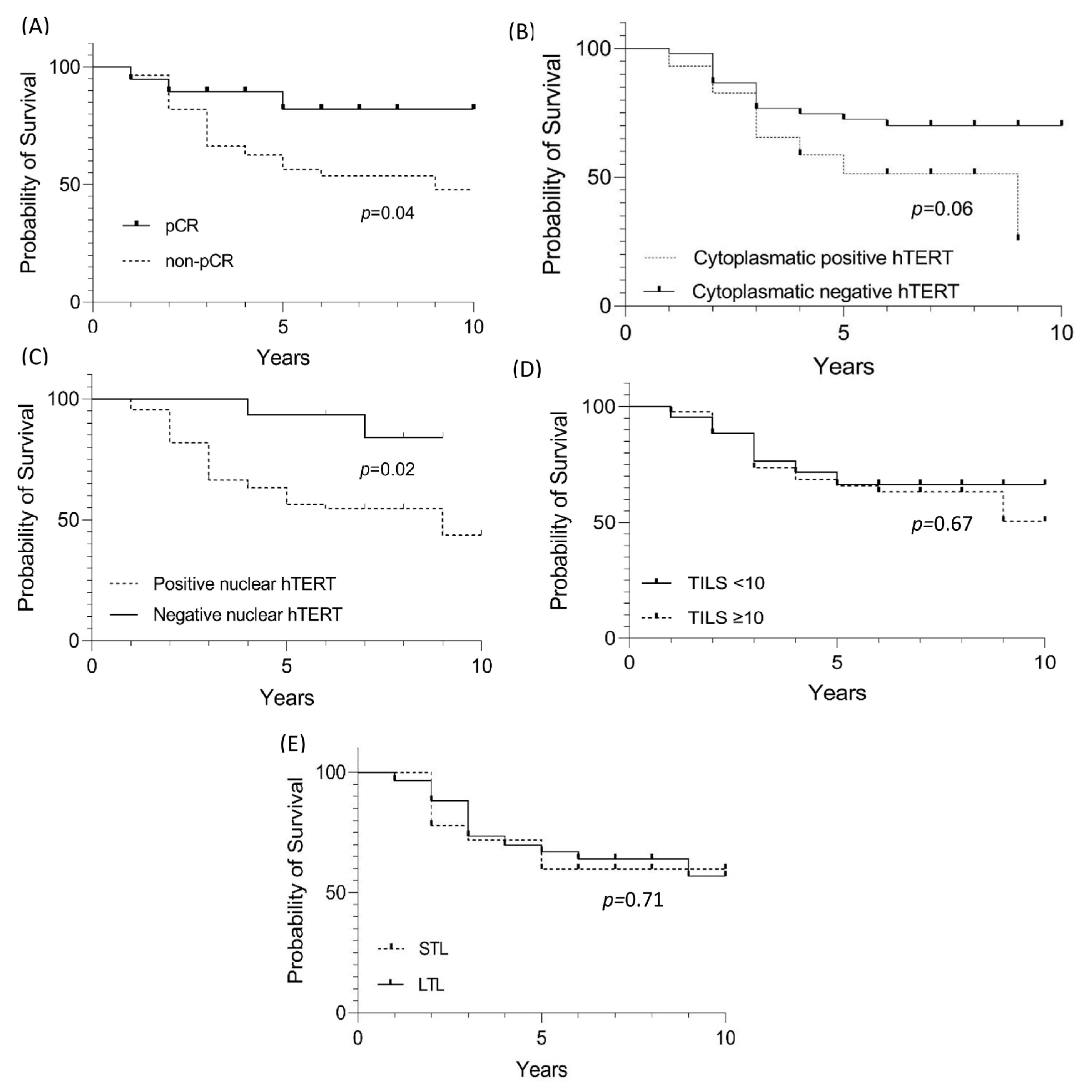 Curroncol 30 00311 g003 Curroncol 30 00311 g003