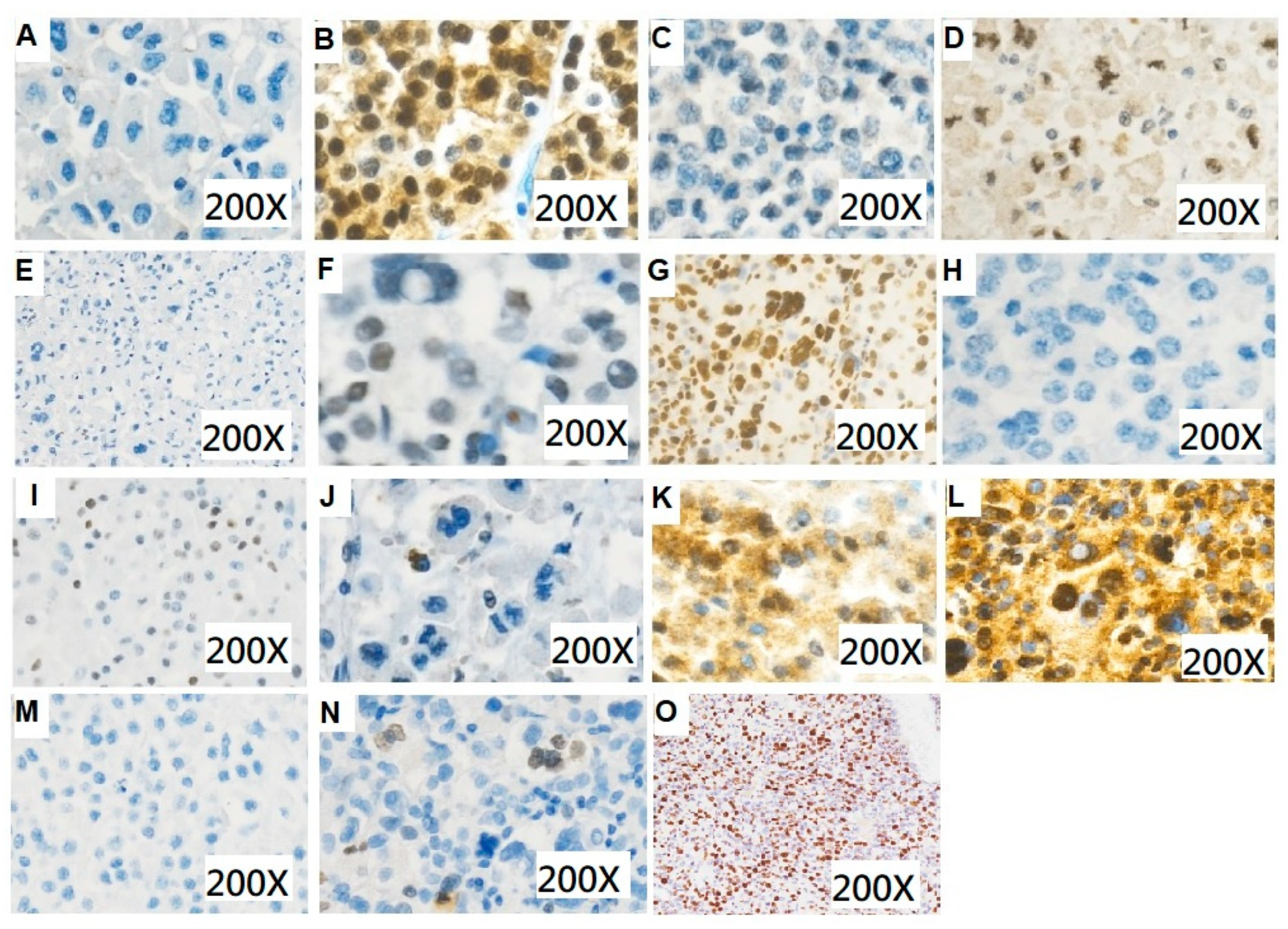 Curroncol 30 00313 g002