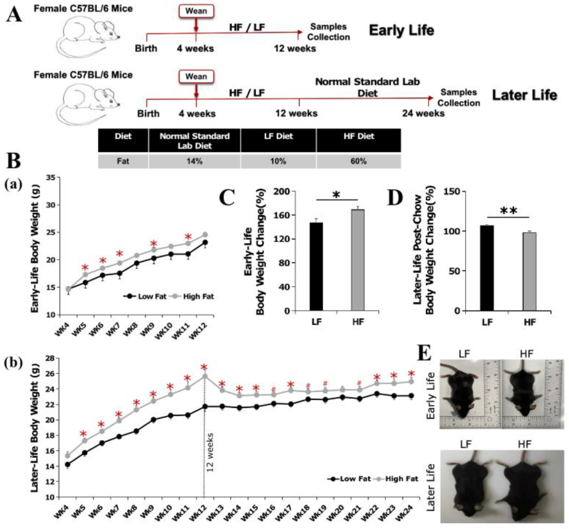 Curroncol 30 00320 g001