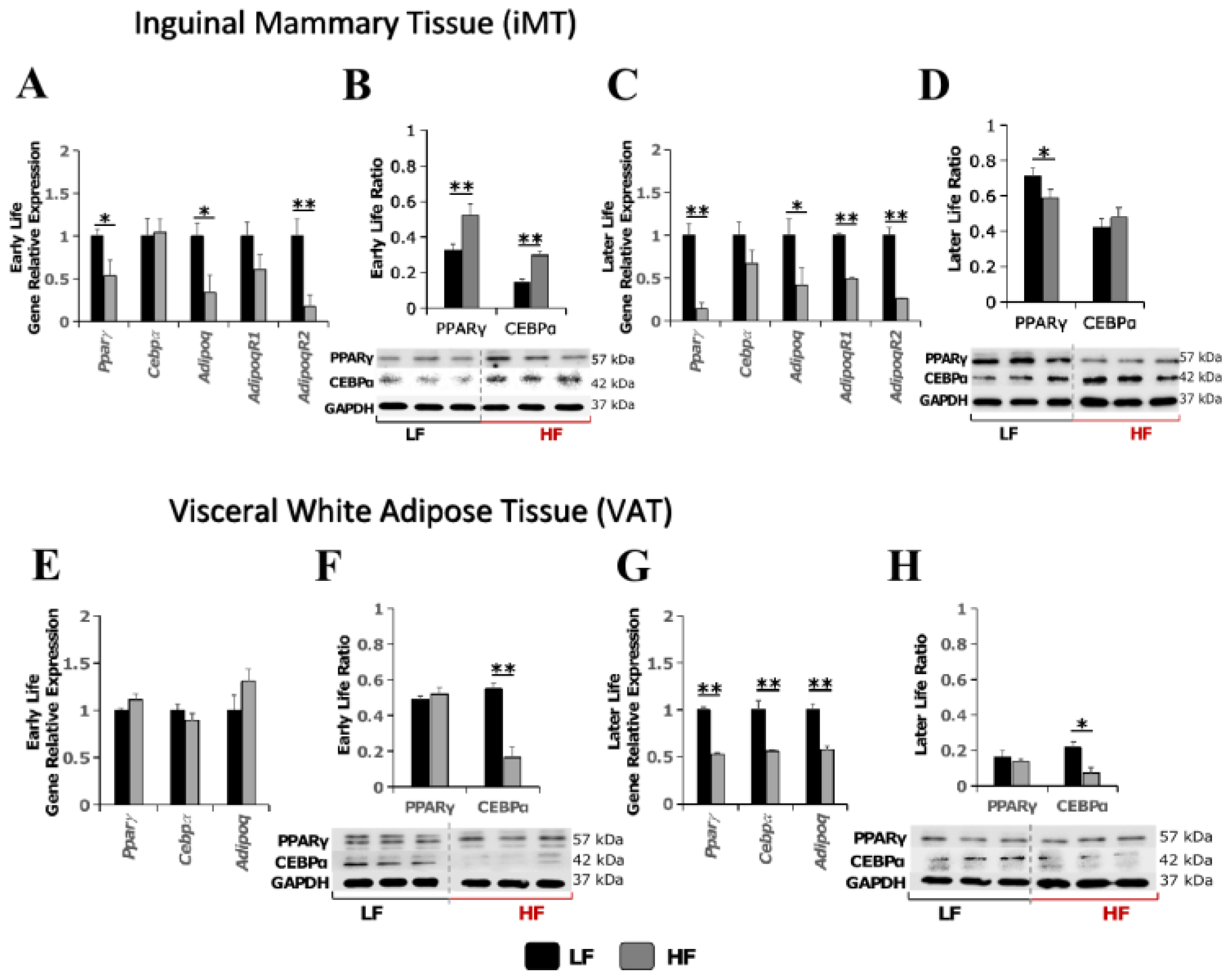 Curroncol 30 00320 g002