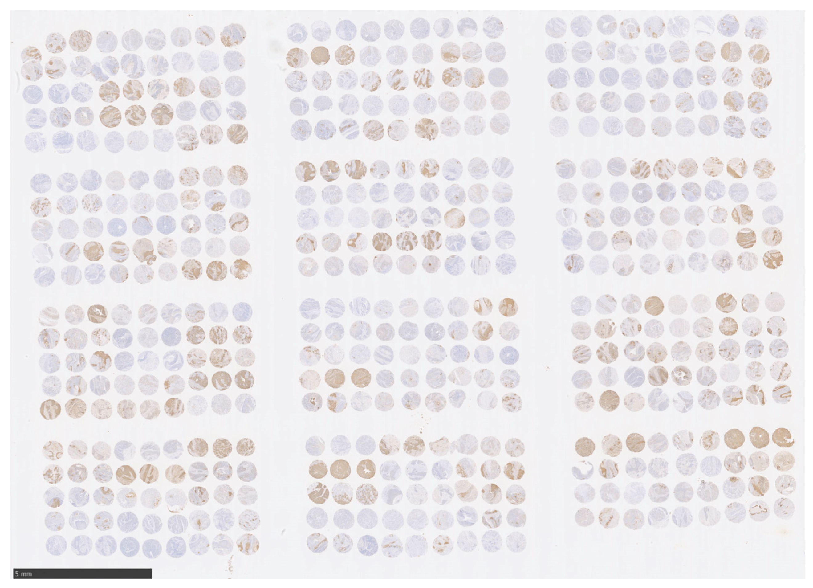 Curroncol 30 00356 g001