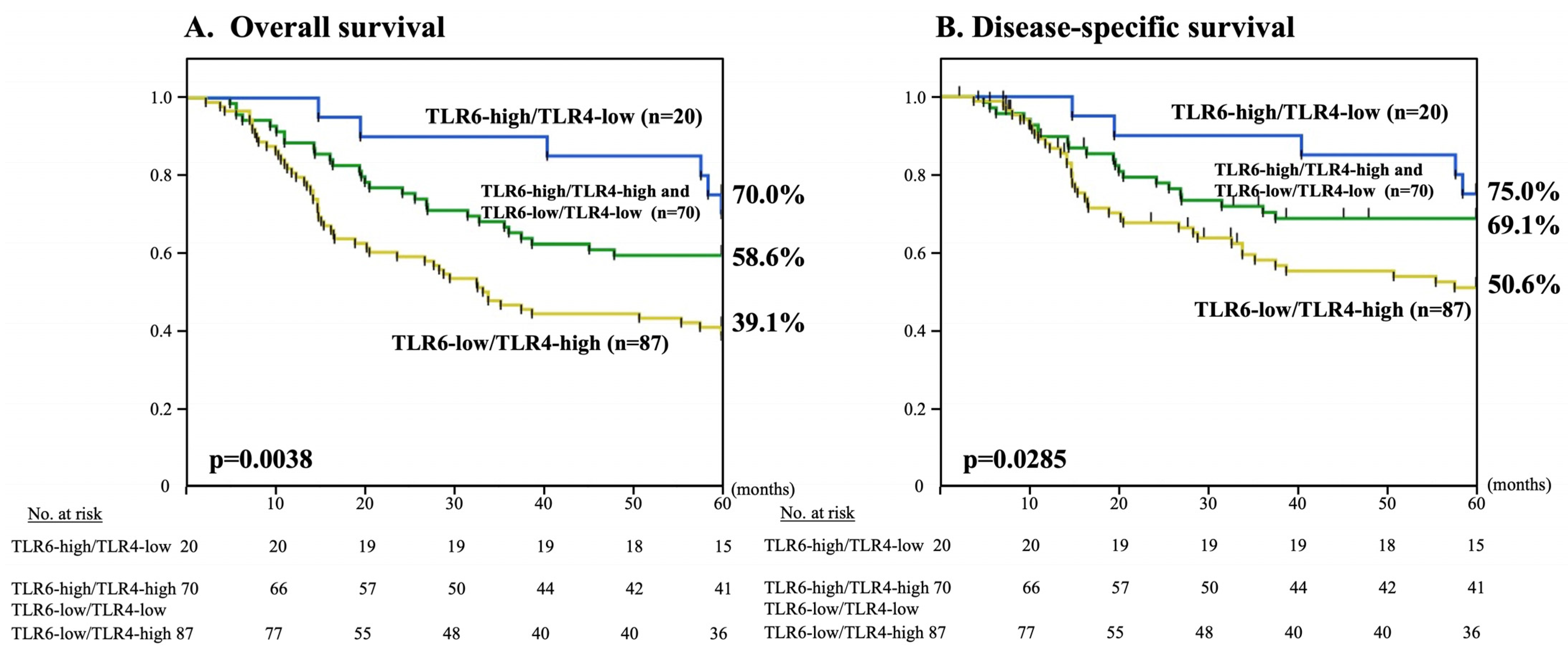 Curroncol 30 00356 g004