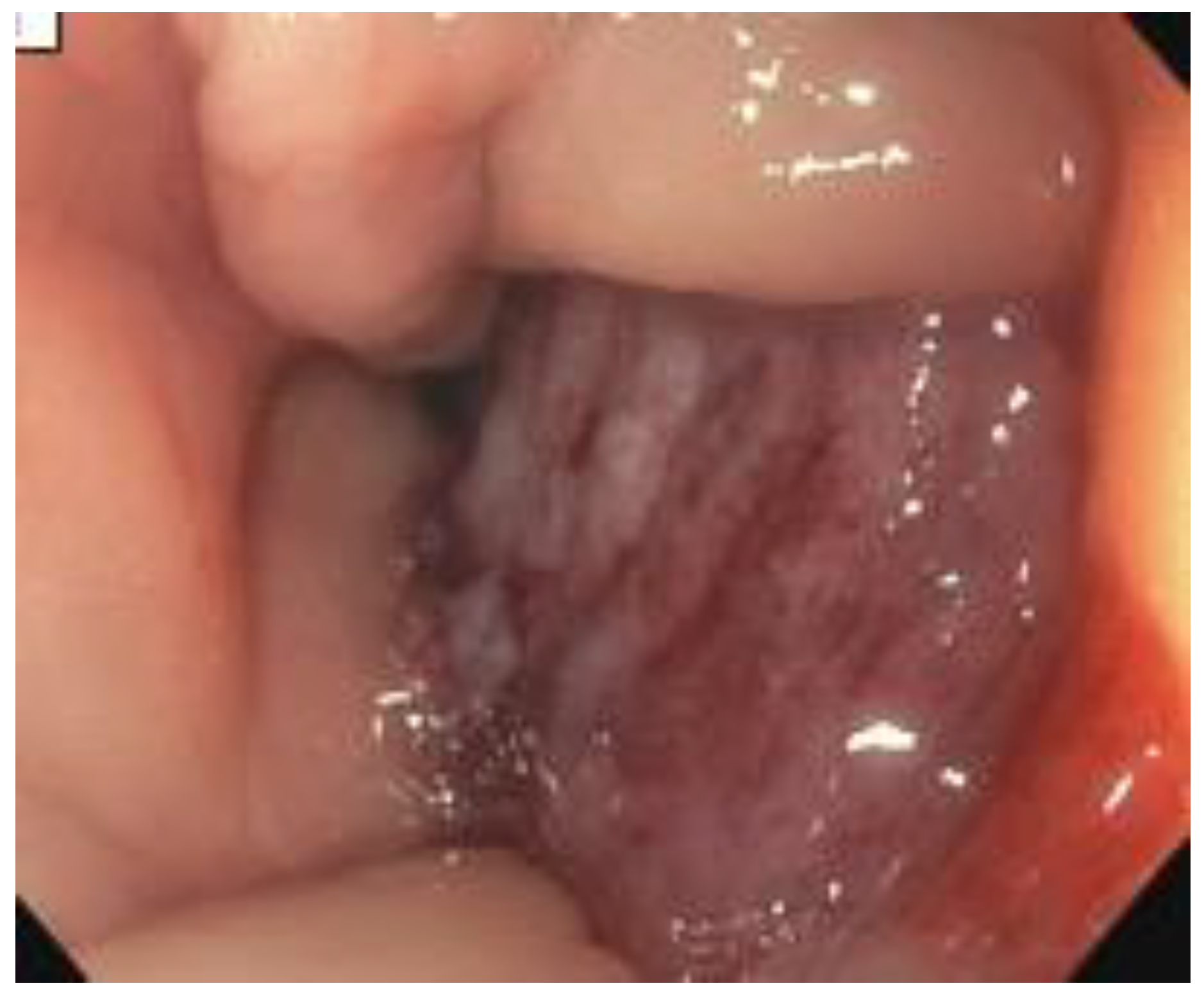 Curroncol 30 00369 g001