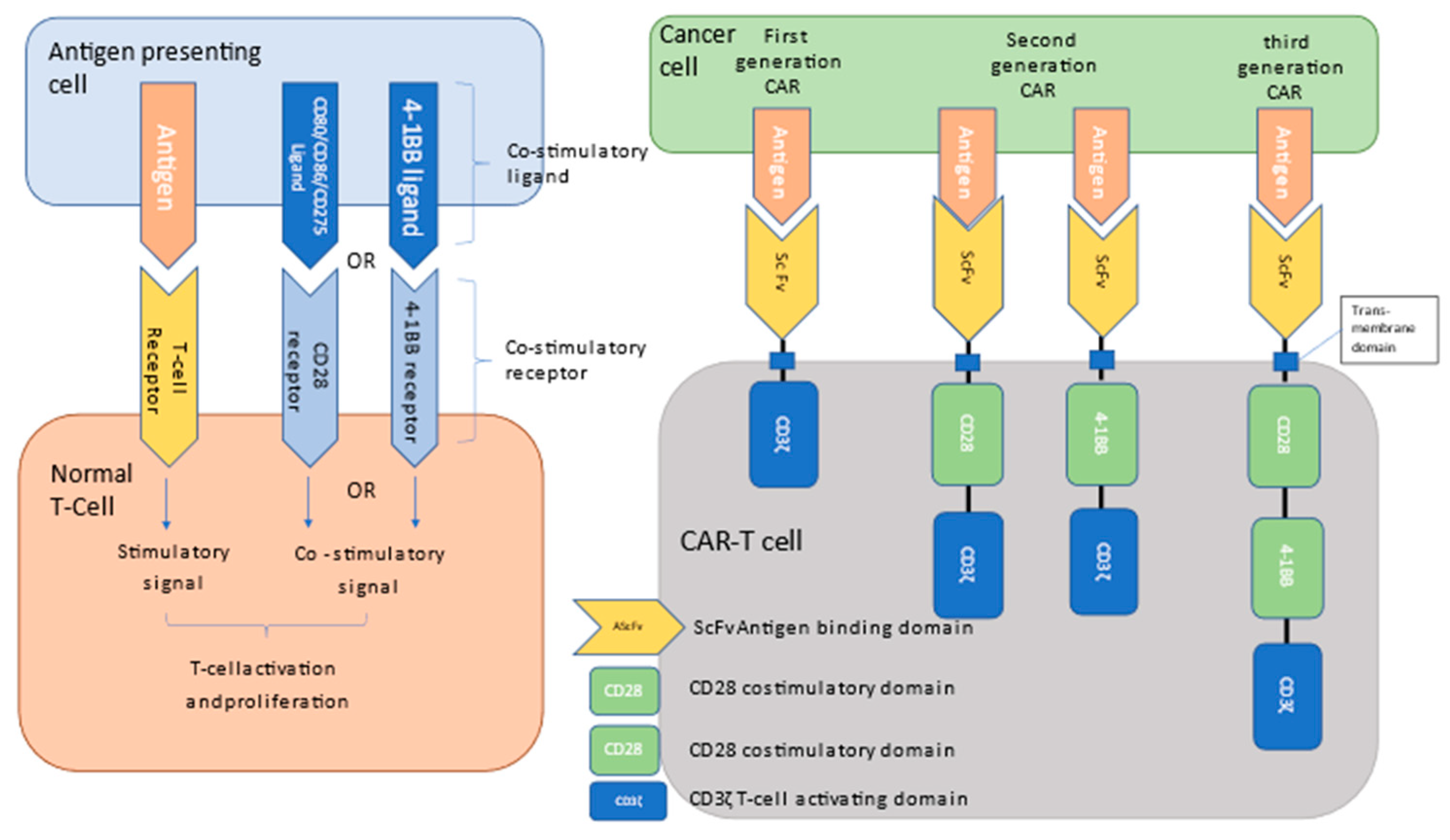 Curroncol 30 00378 g001 Curroncol 30 00378 g001