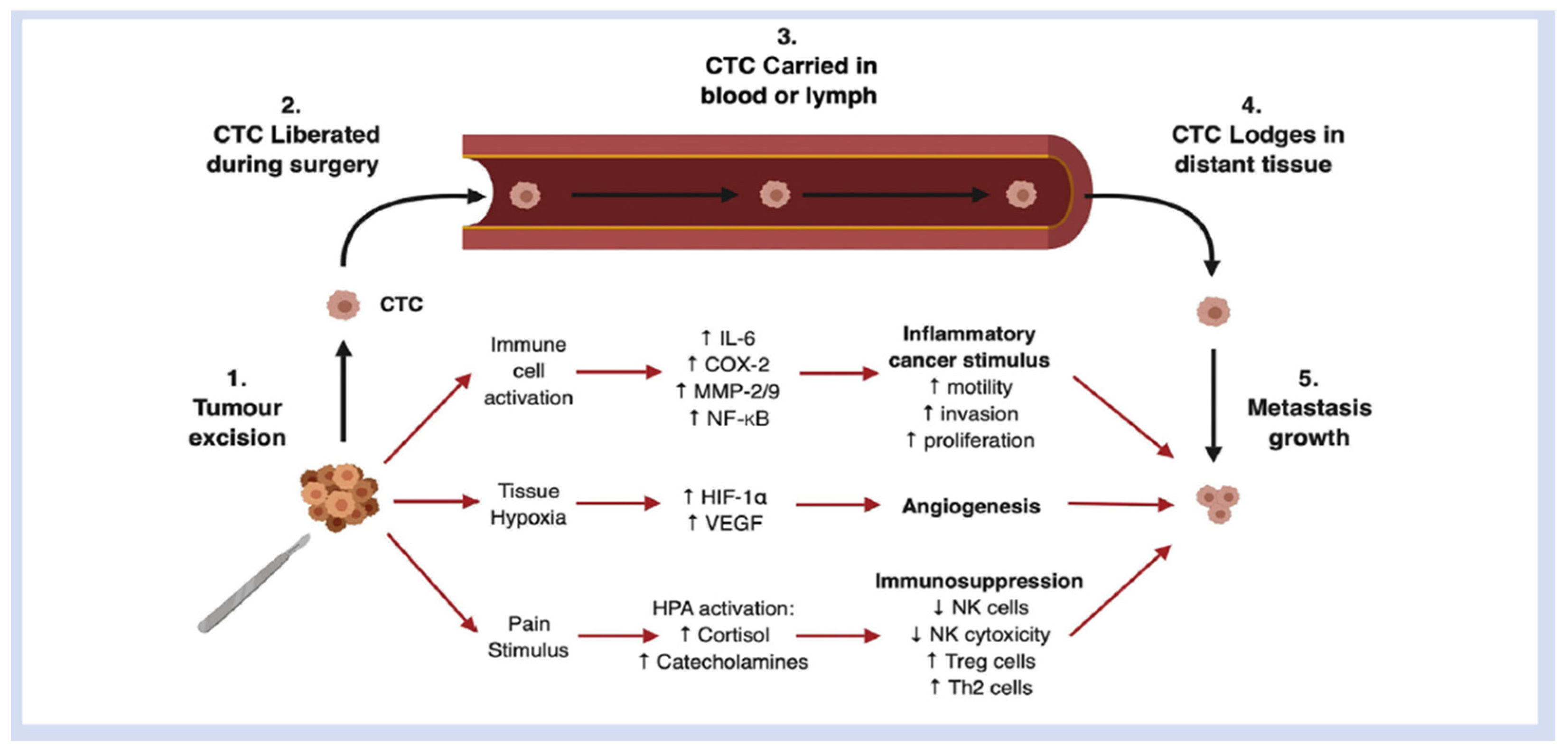 Curroncol 30 00403 g001