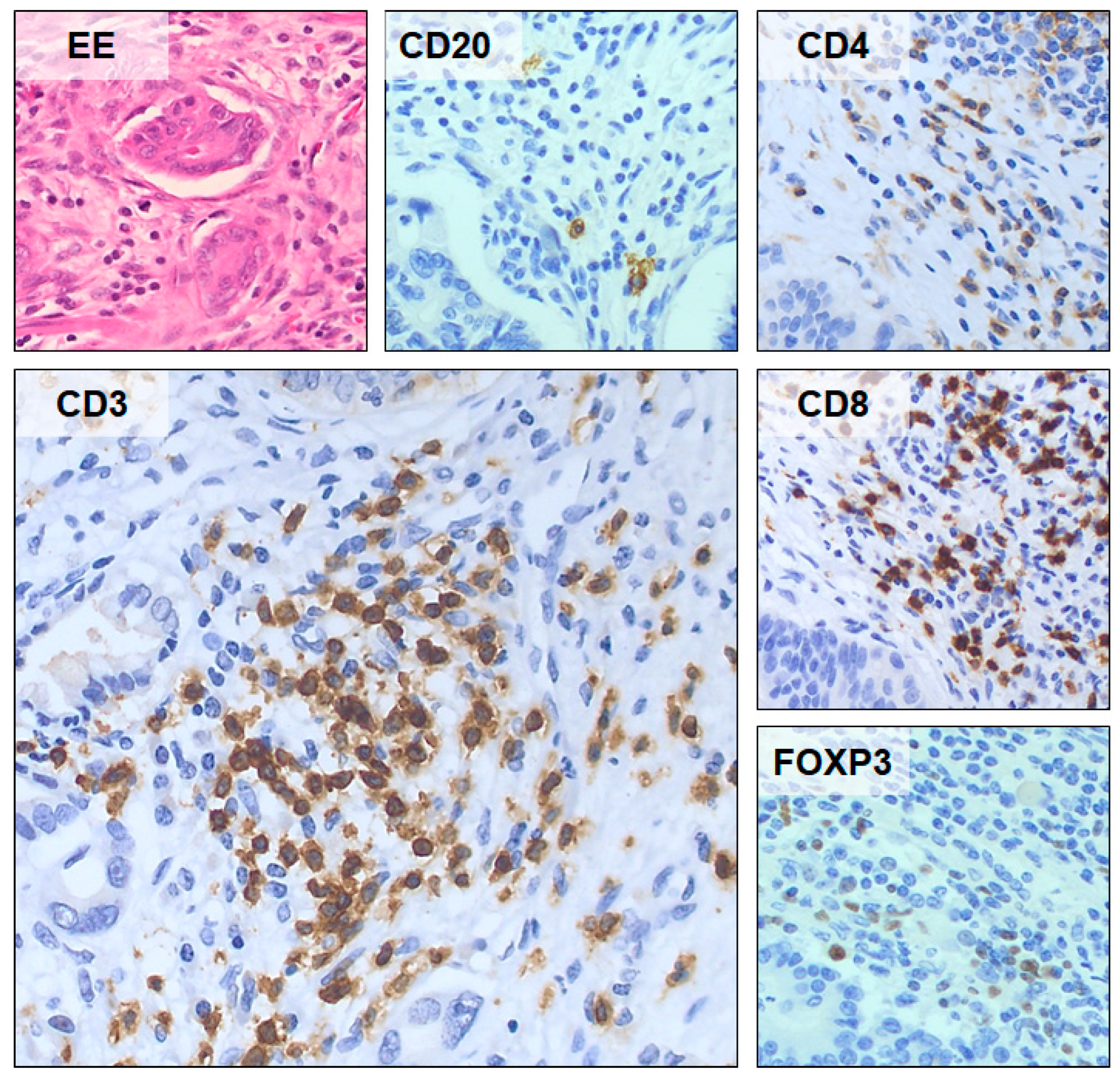 Curroncol 30 00417 g003