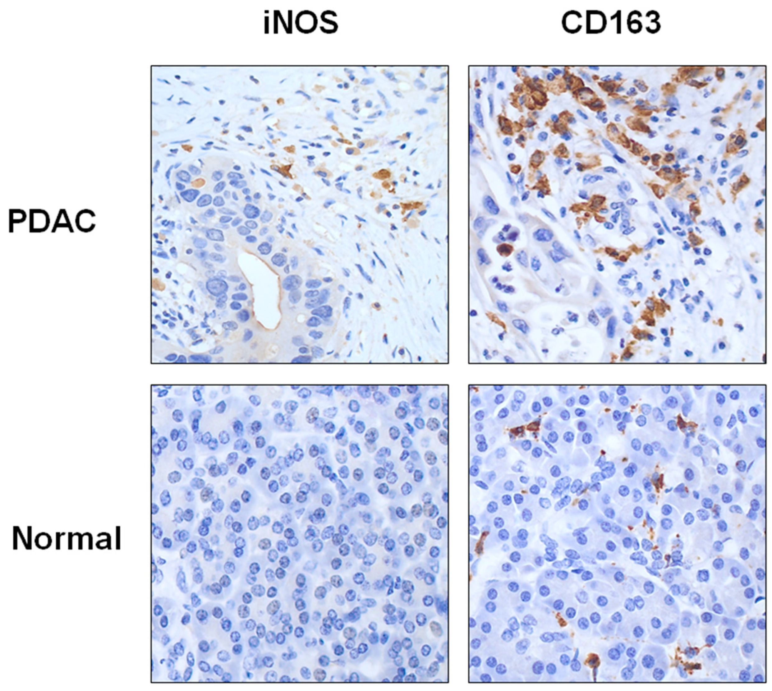 Curroncol 30 00417 g004