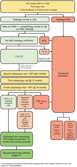 Curroncol 30 00431 g003