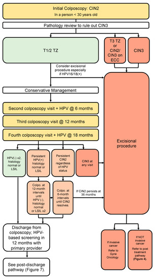 Curroncol 30 00431 g004