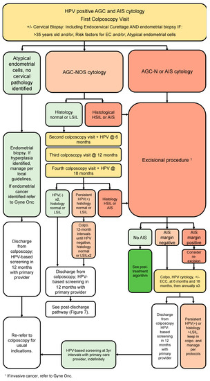 Curroncol 30 00431 g006