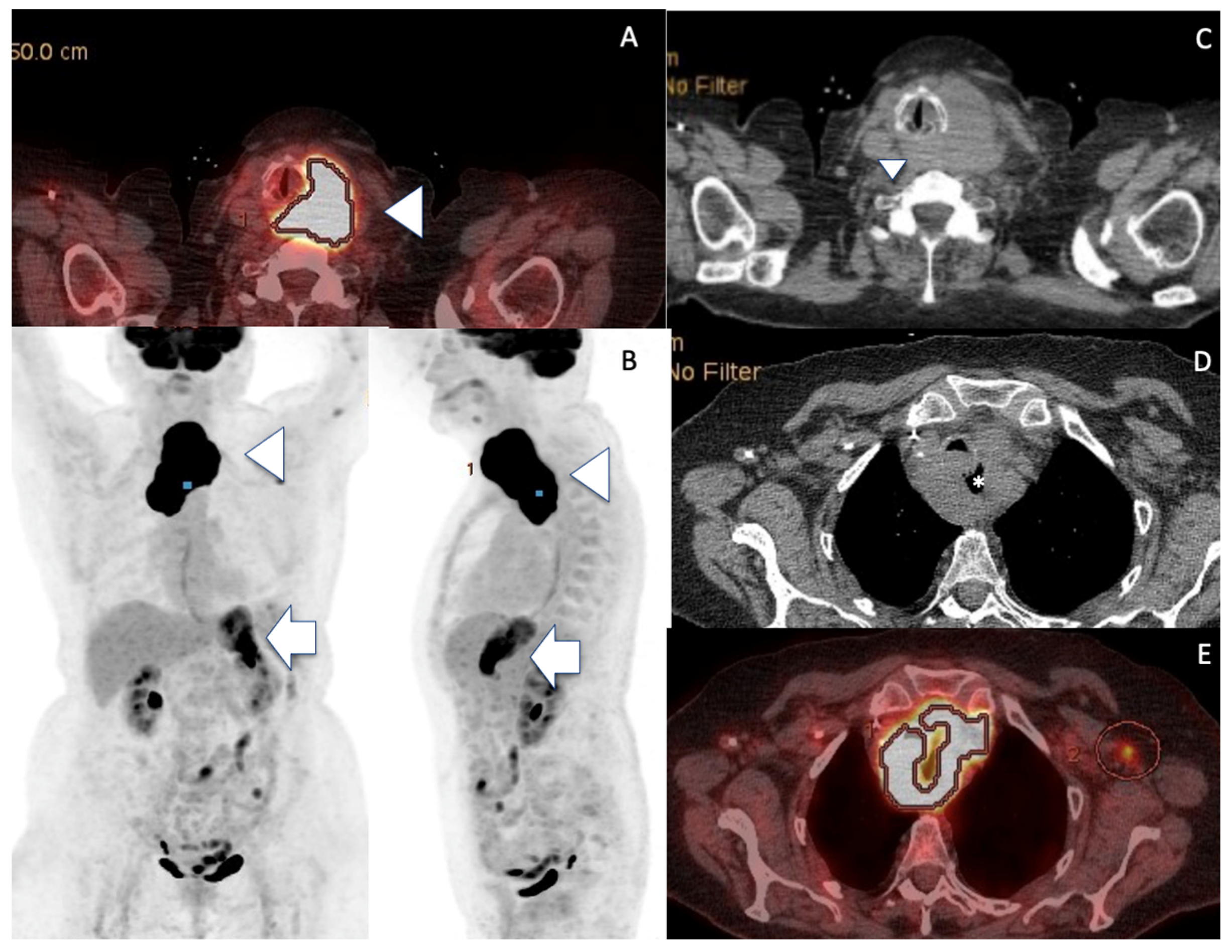 Curroncol 30 00435 g003 Curroncol 30 00435 g003