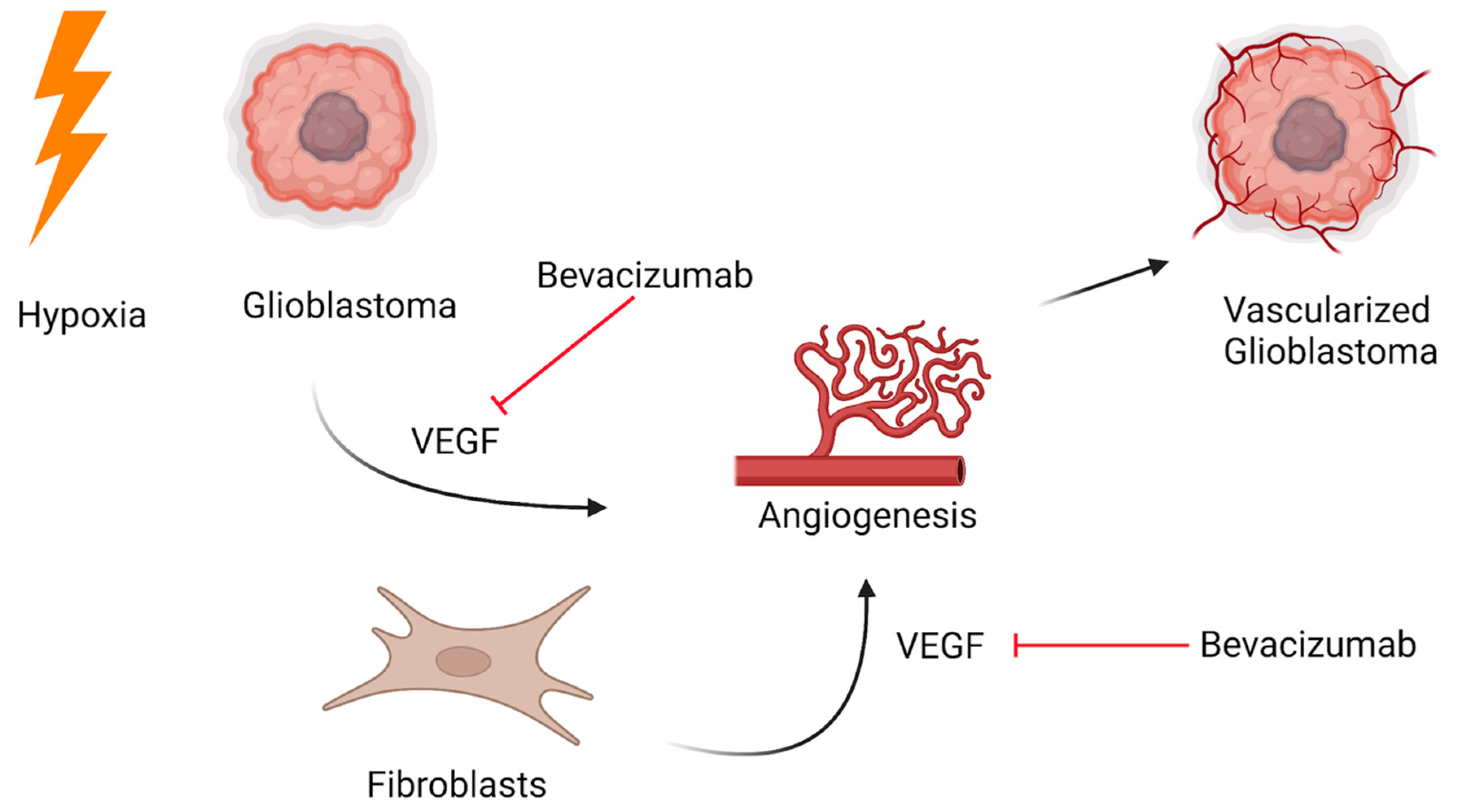 Curroncol 30 00442 g003