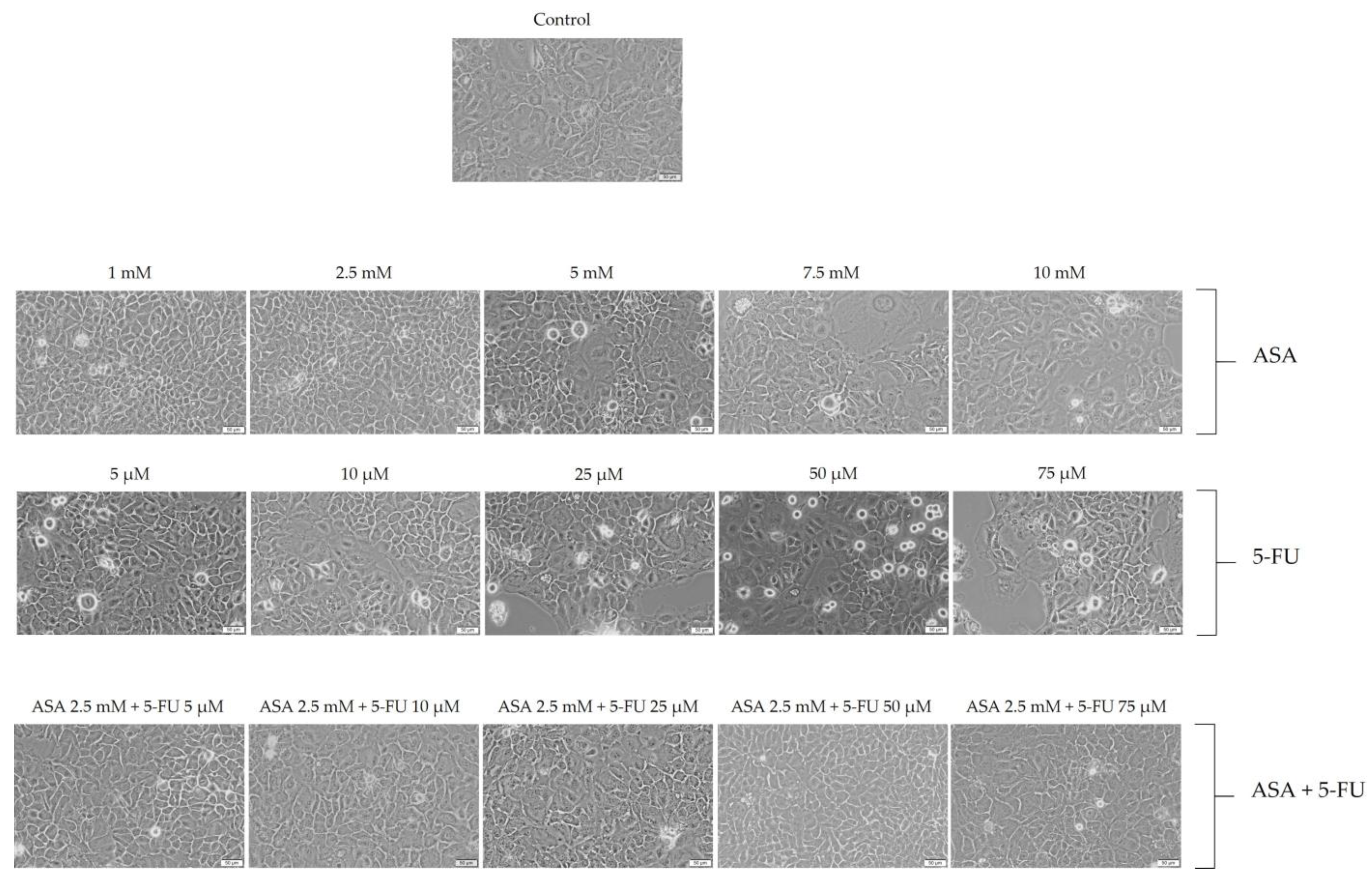 Curroncol 30 00460 g003