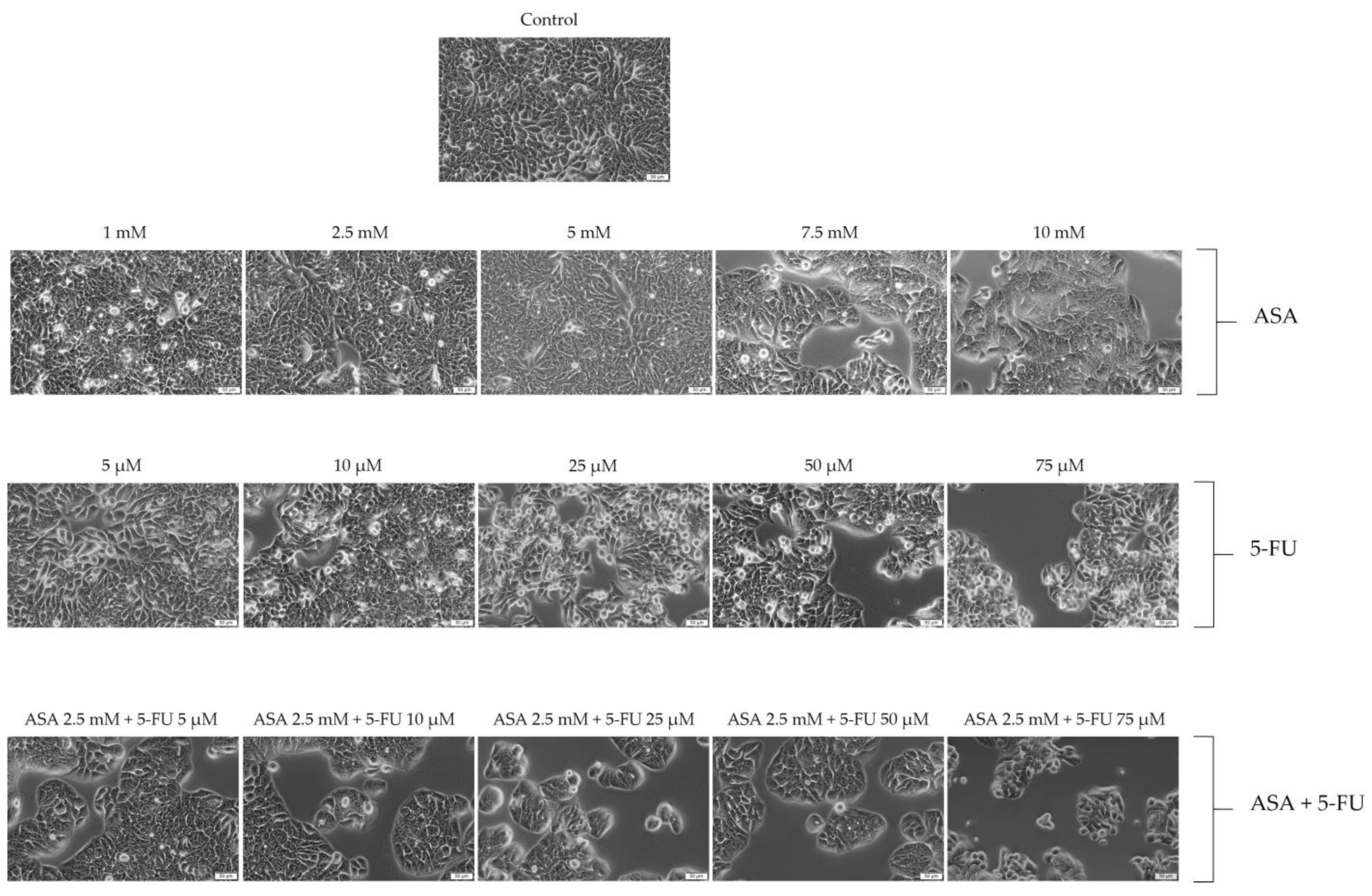 Curroncol 30 00460 g004