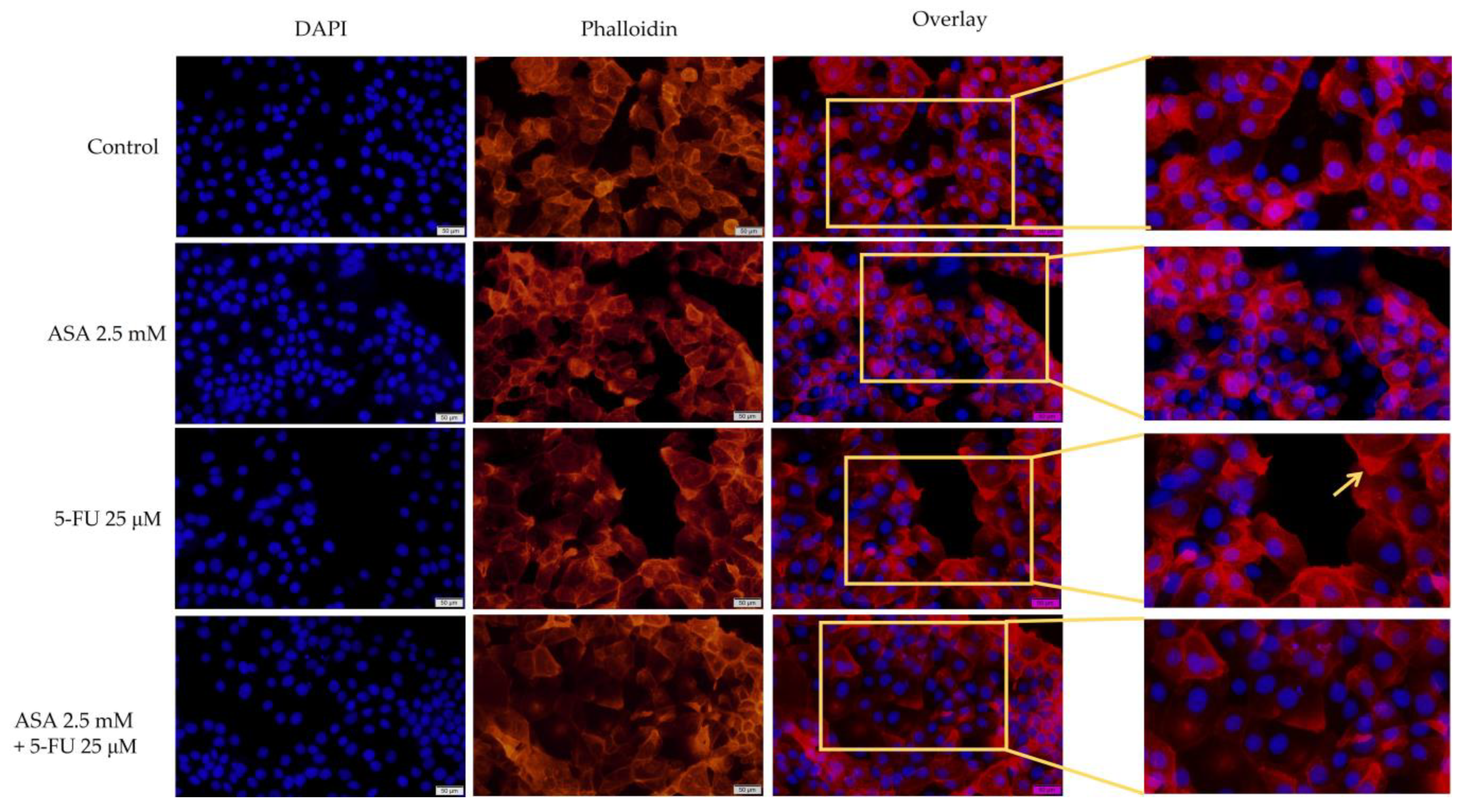 Curroncol 30 00460 g005