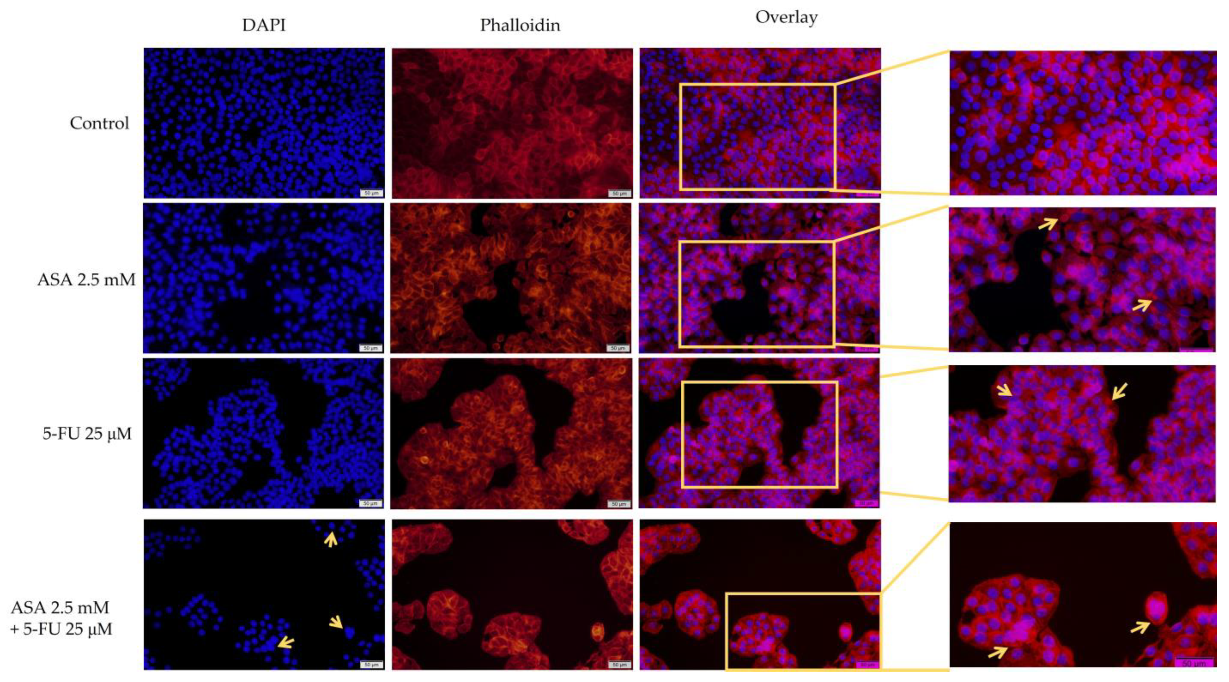 Curroncol 30 00460 g007