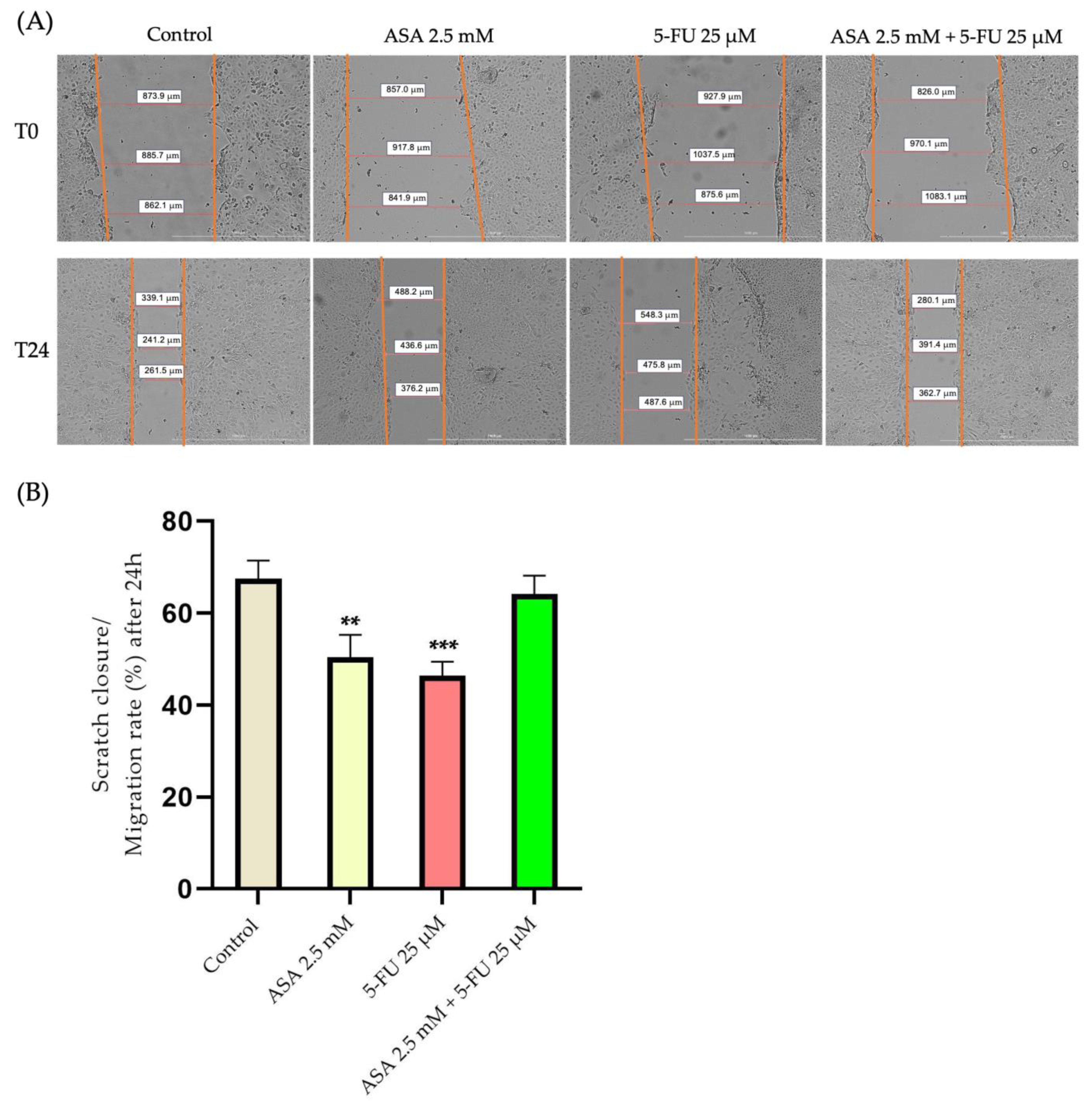 Curroncol 30 00460 g009