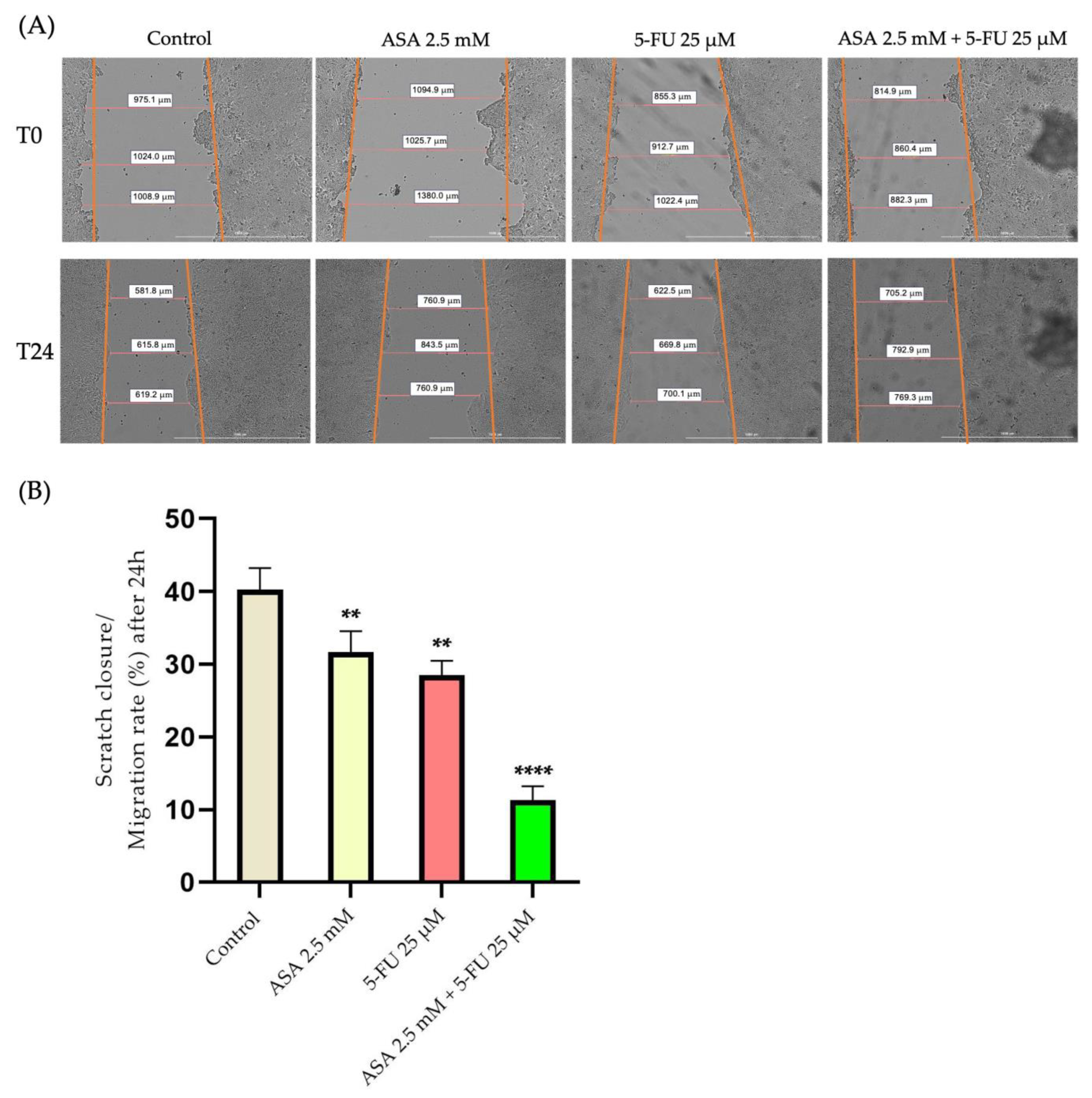 Curroncol 30 00460 g010