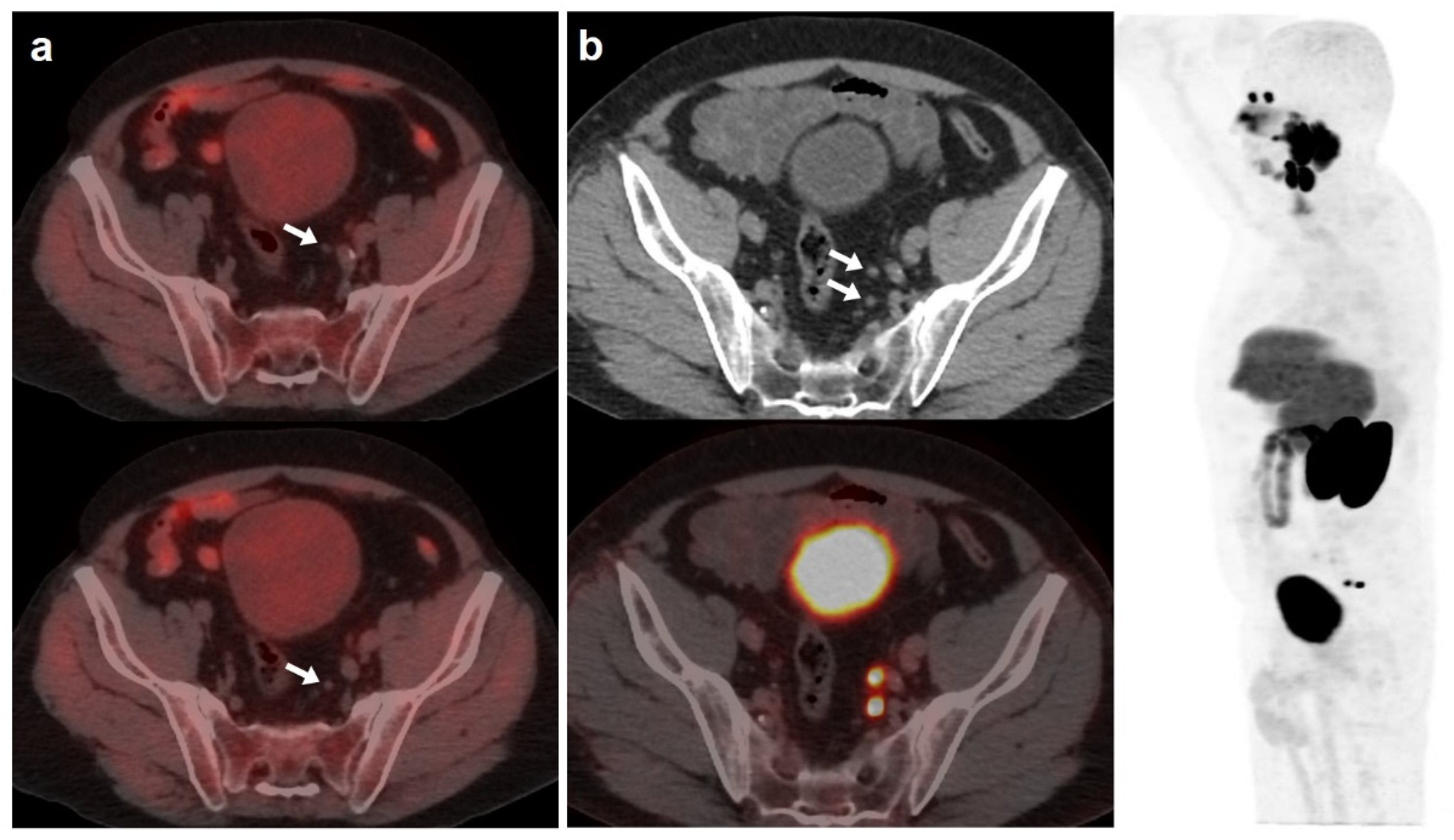 Curroncol 30 00464 g002