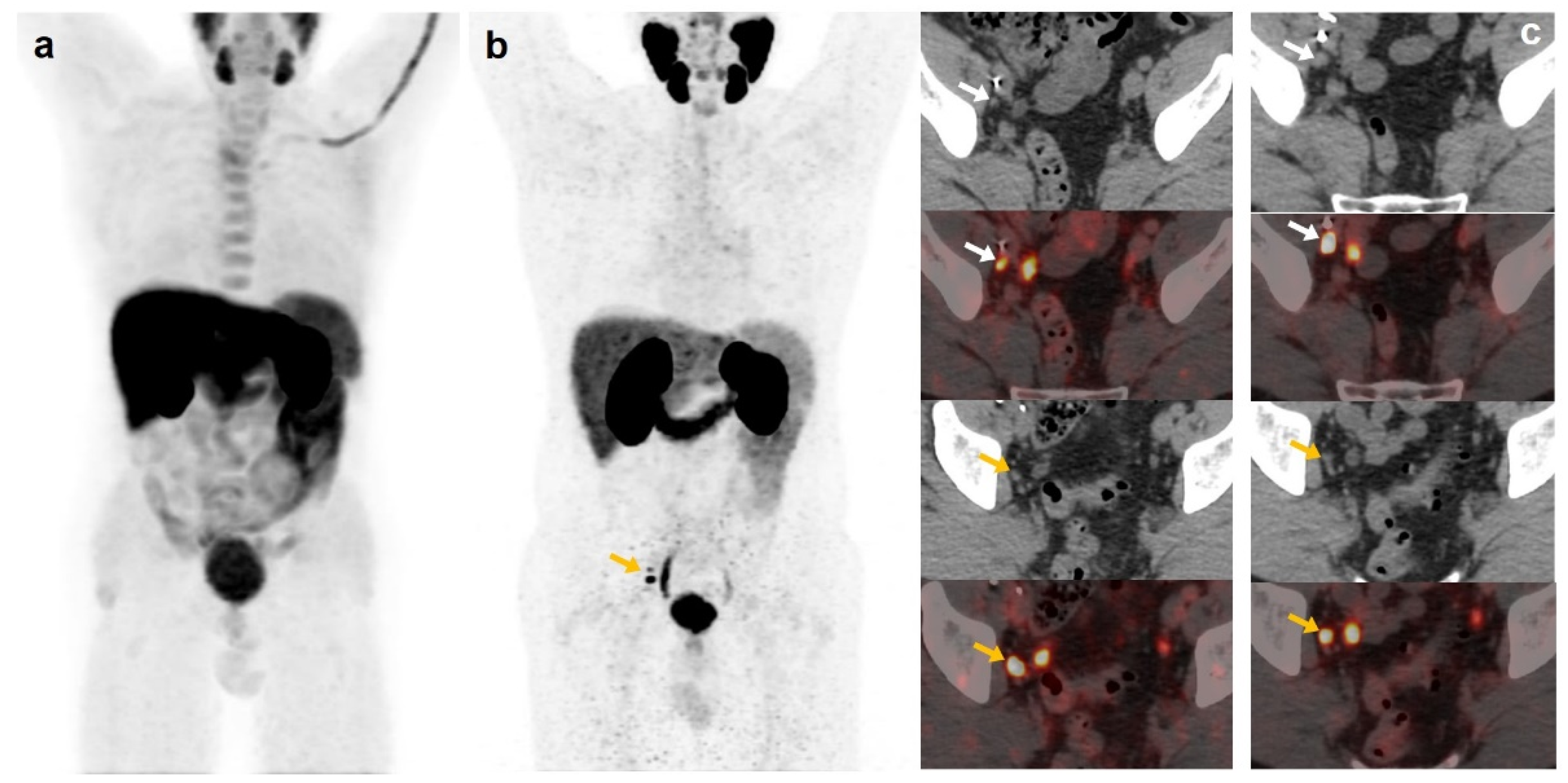 Curroncol 30 00464 g003
