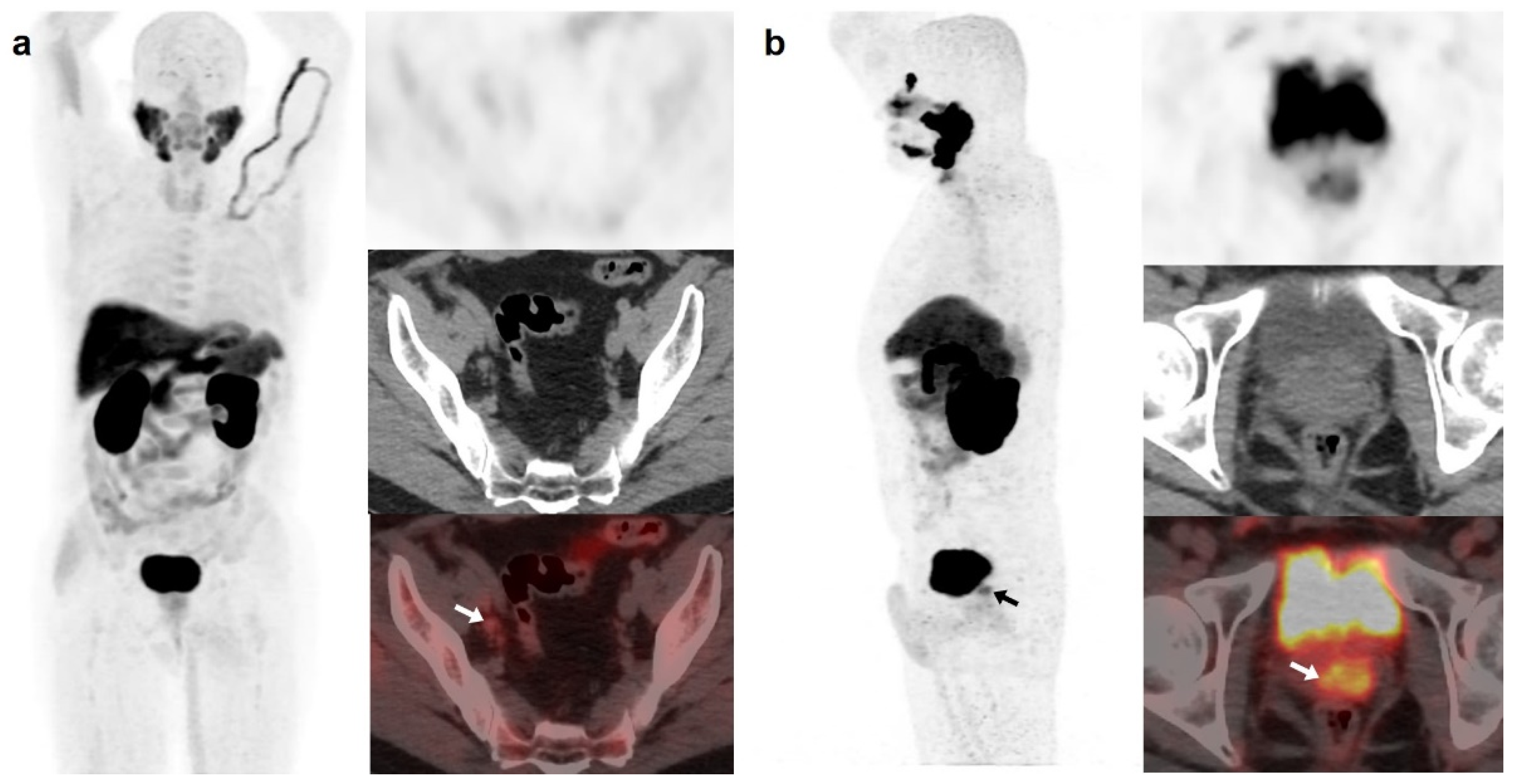 Curroncol 30 00464 g006