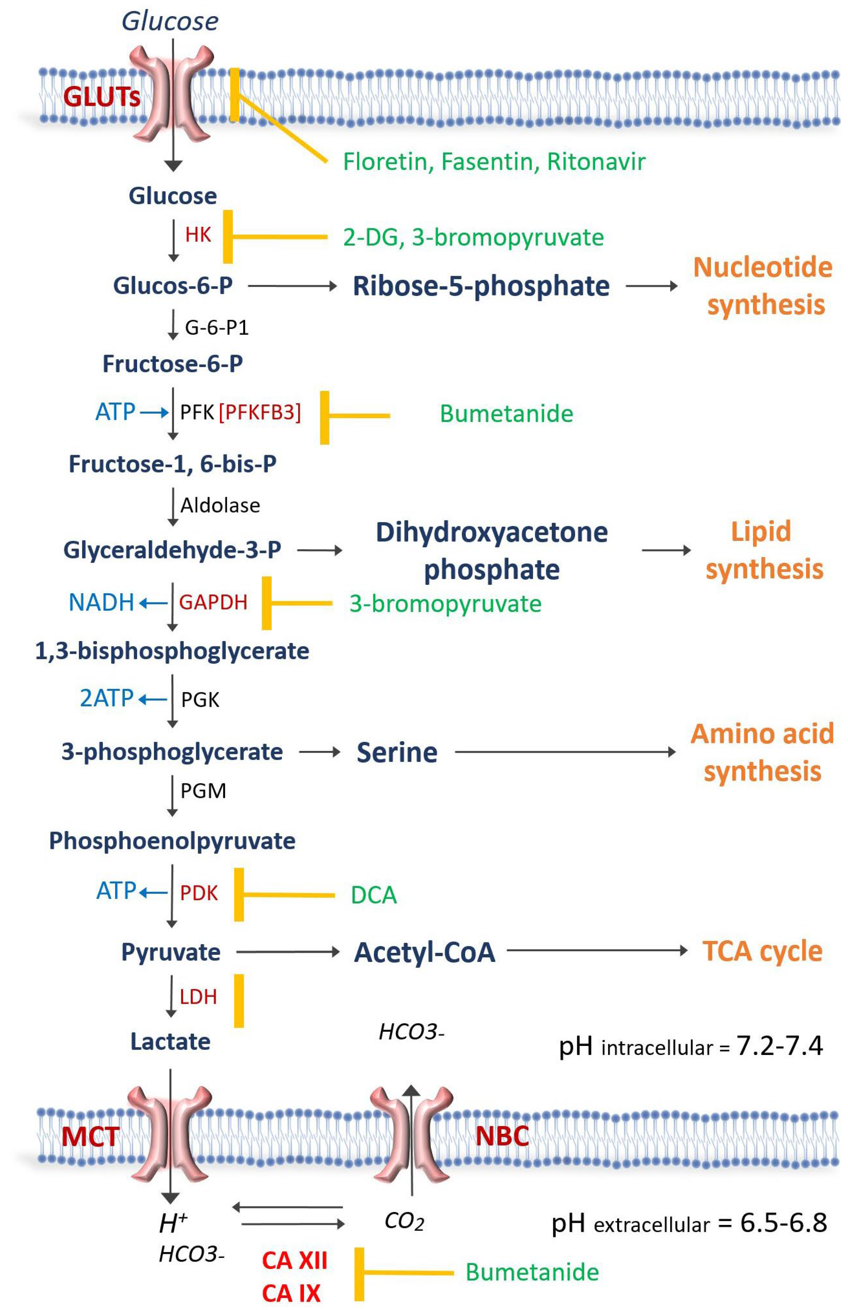 Curroncol 30 00485 g001