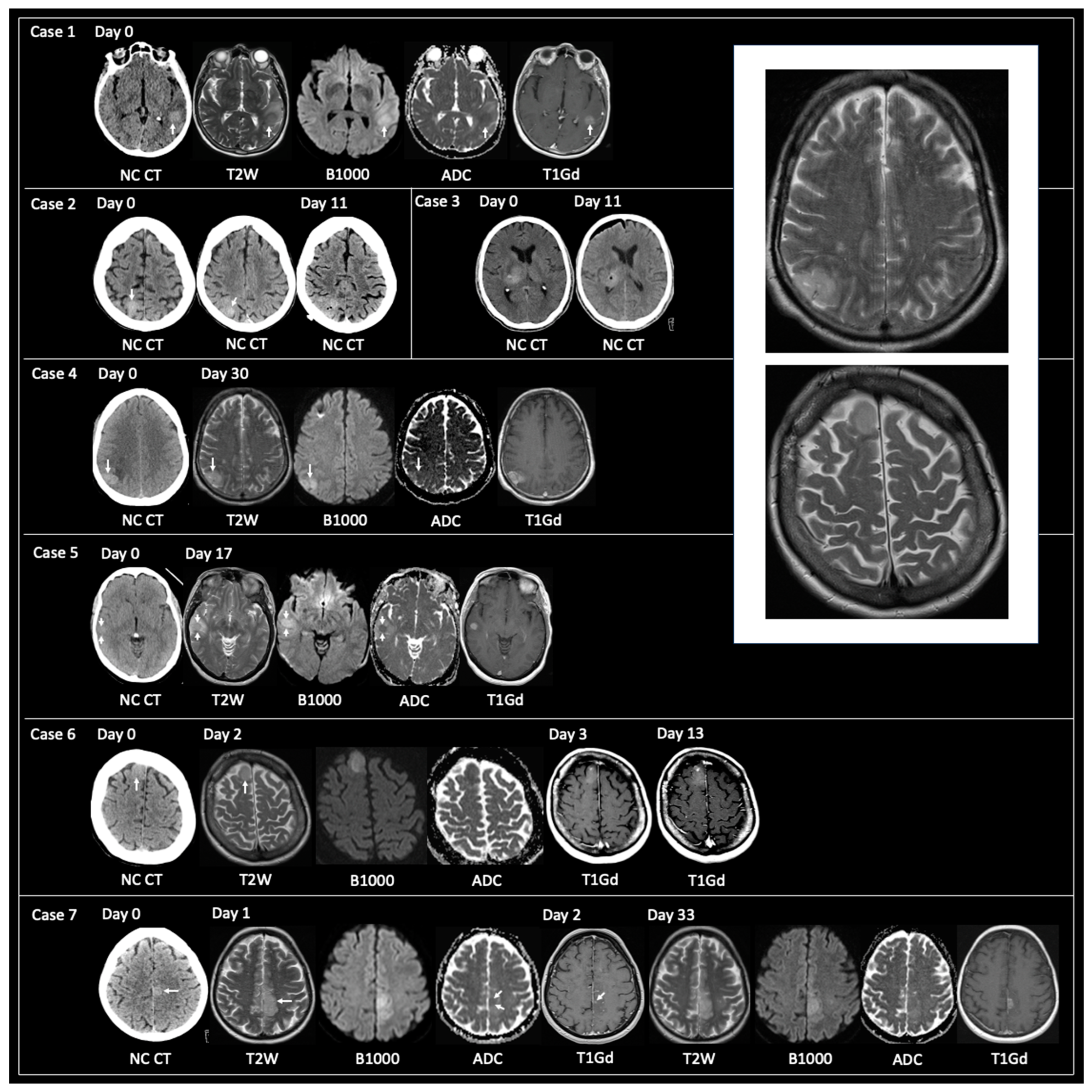 Curroncol 30 00490 g002
