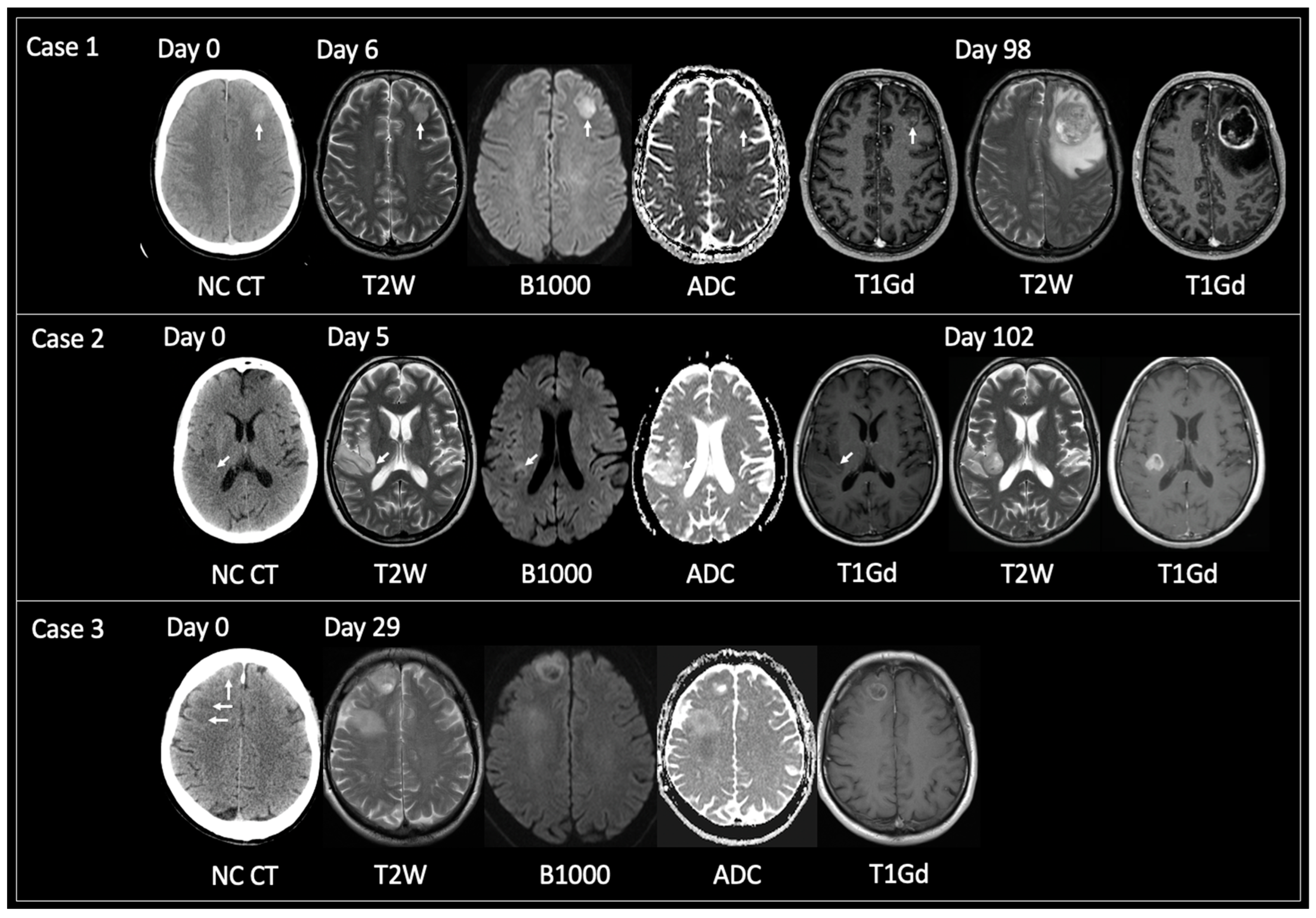 Curroncol 30 00490 g003