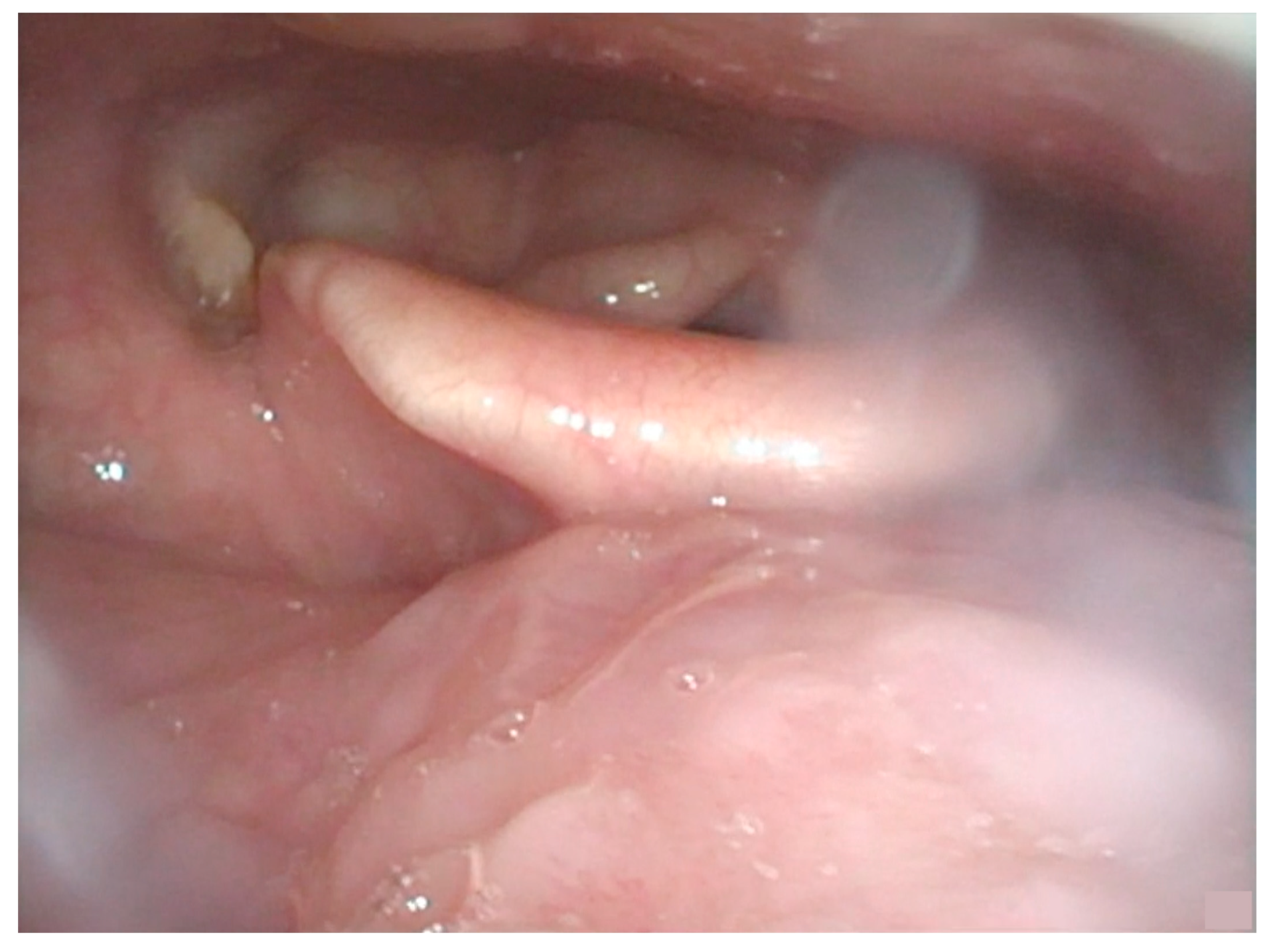 Curroncol 30 00492 g001