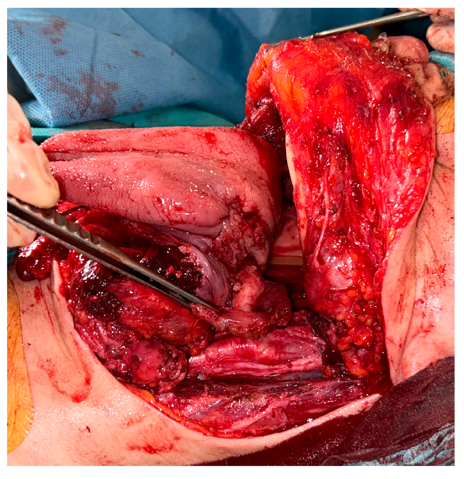 Curroncol 30 00492 g003