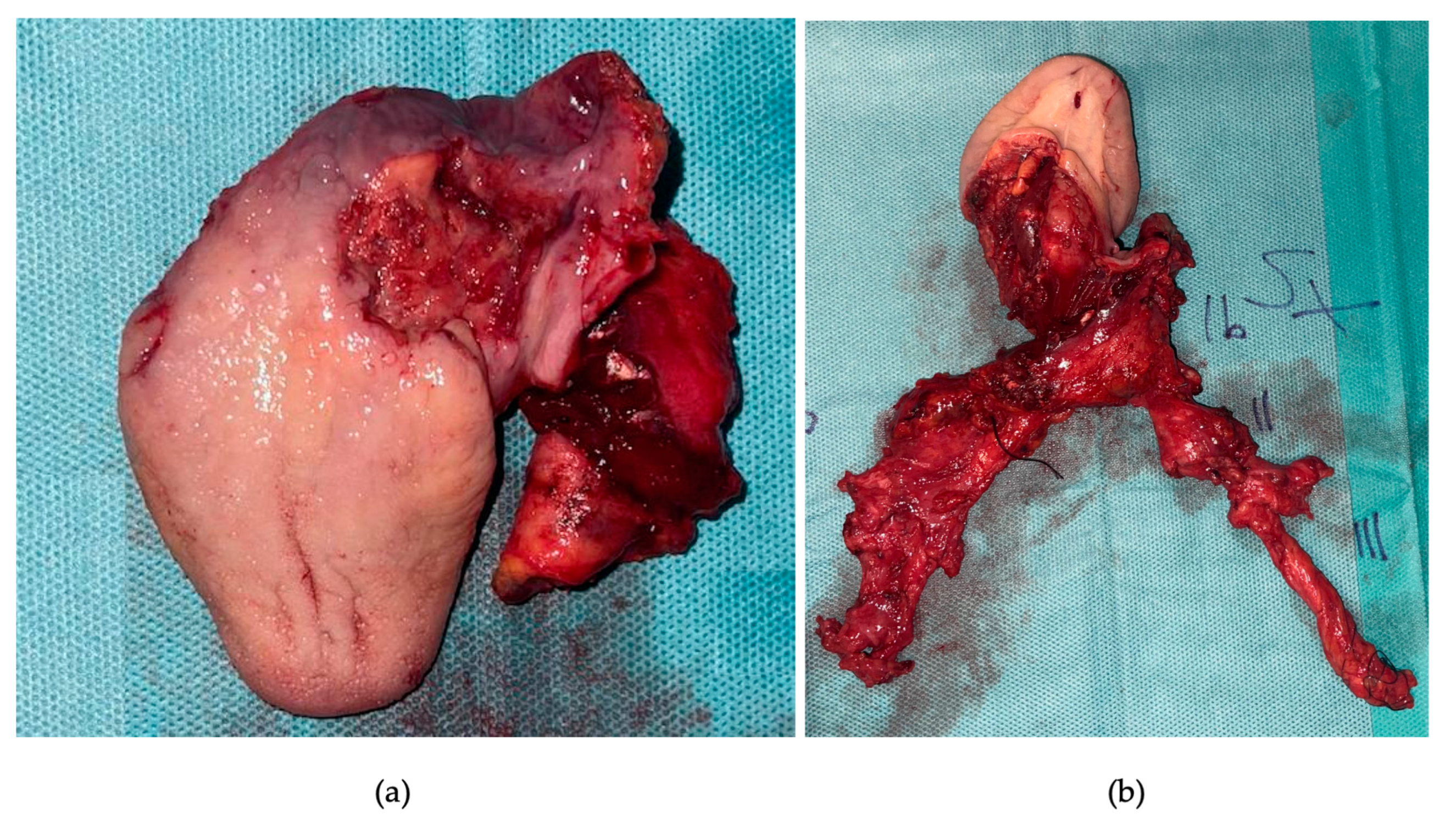 Curroncol 30 00492 g004