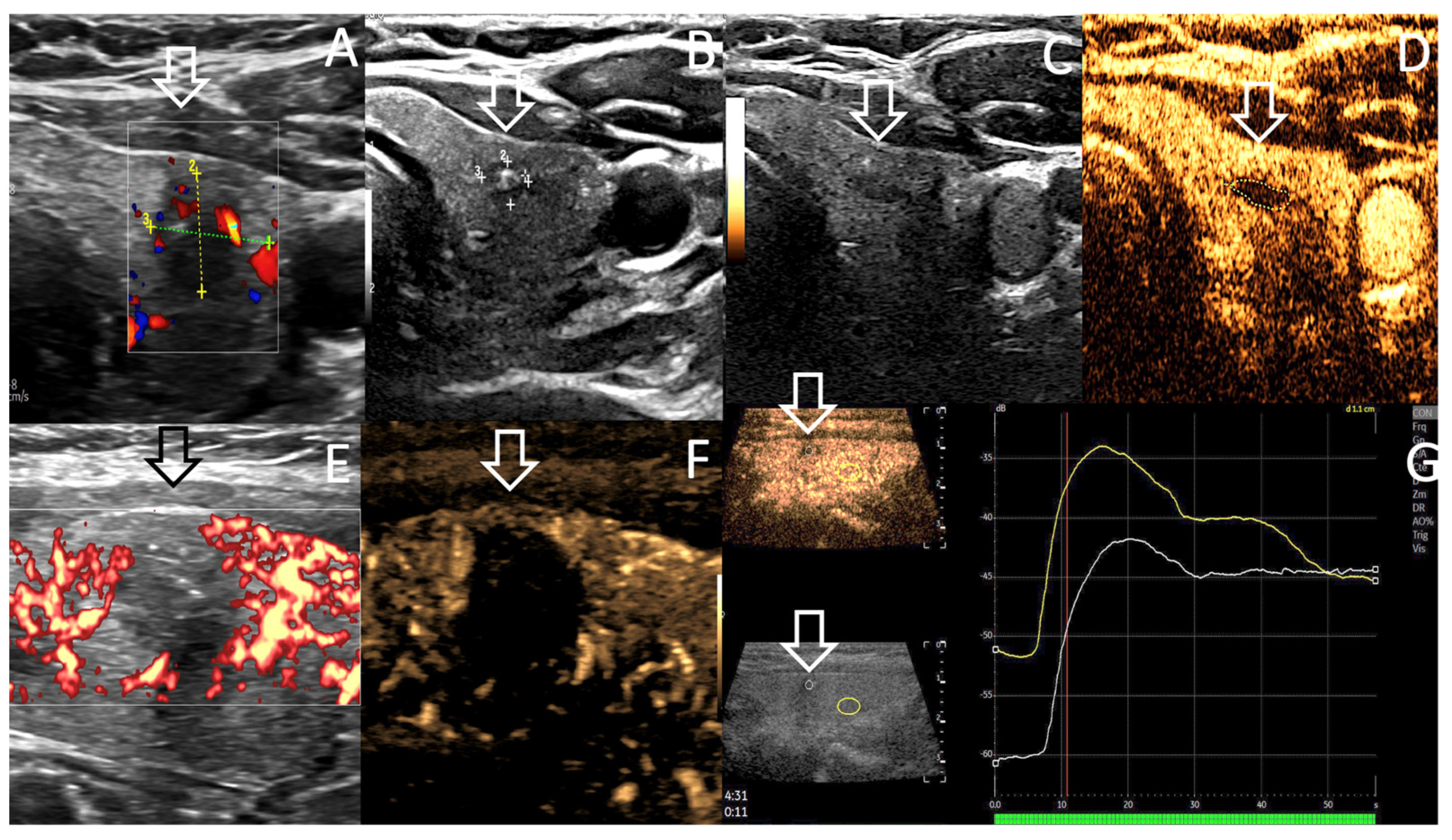 Curroncol 30 00539 g001