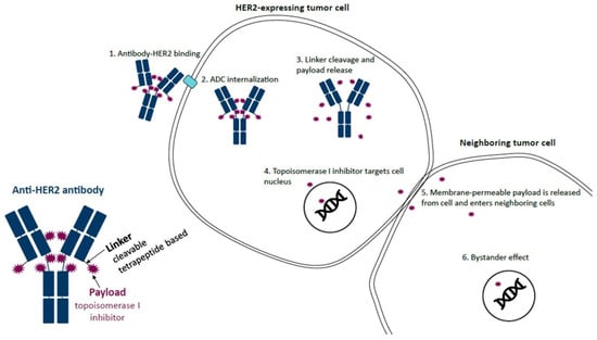 Curroncol 30 00582 g001