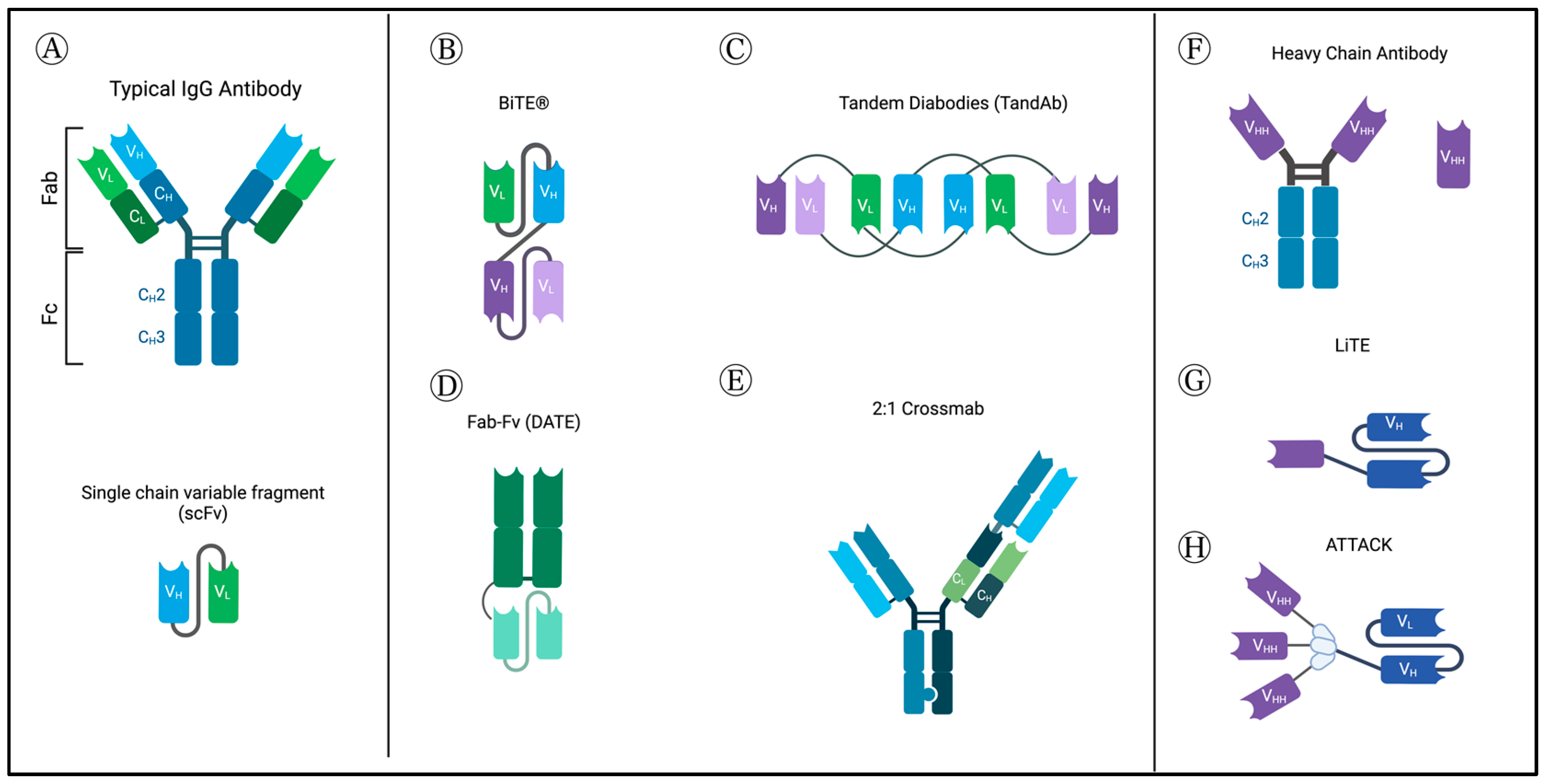Curroncol 30 00619 g001