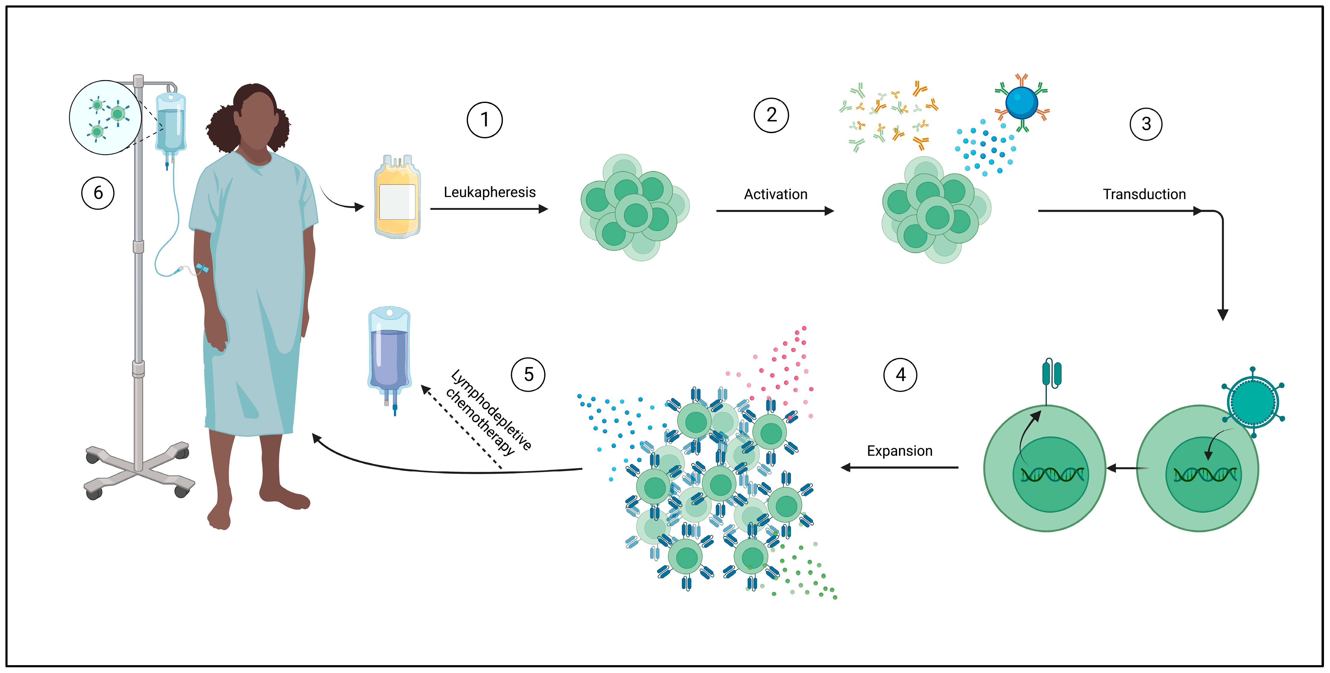 Curroncol 30 00619 g003