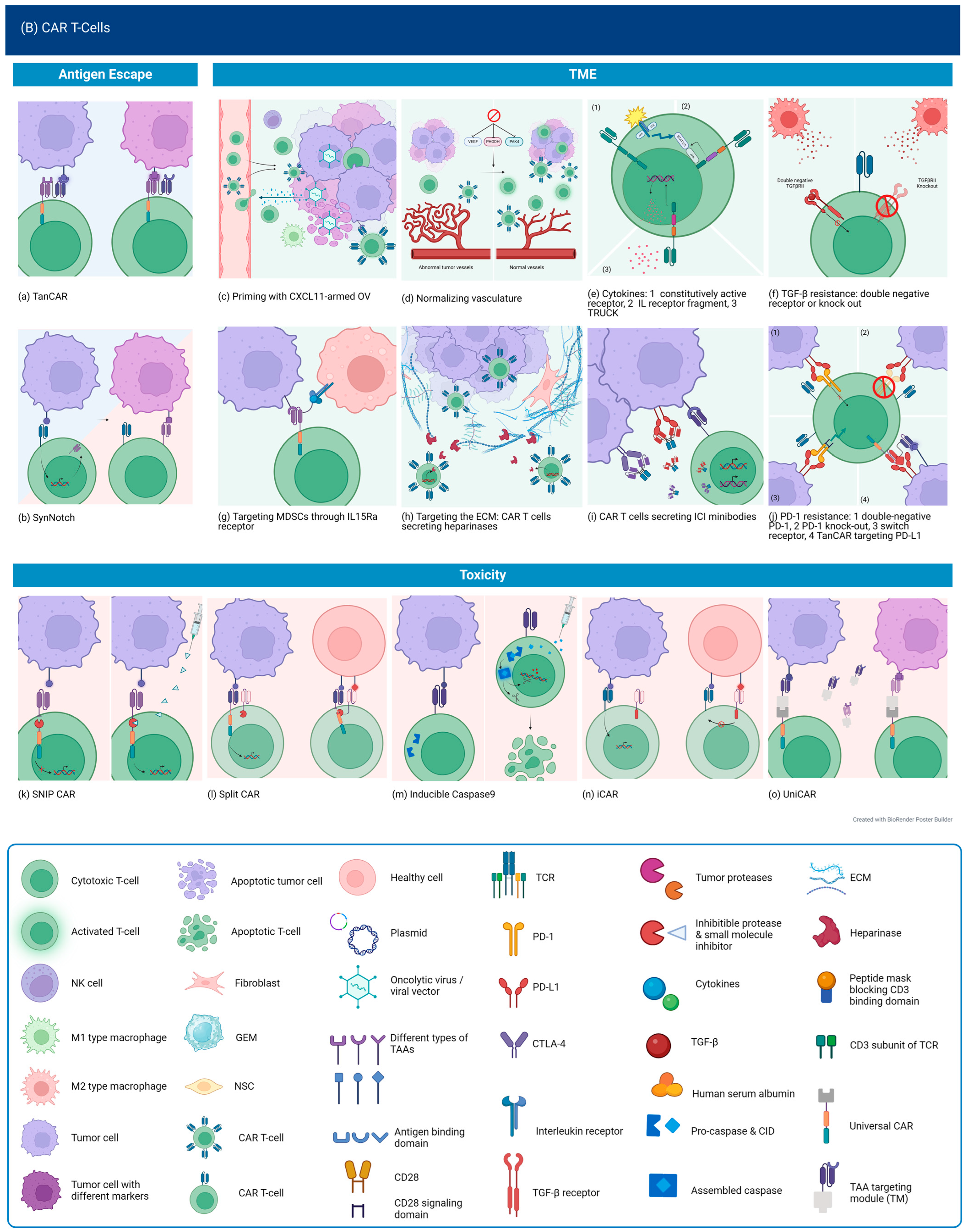 Curroncol 30 00619 g004b