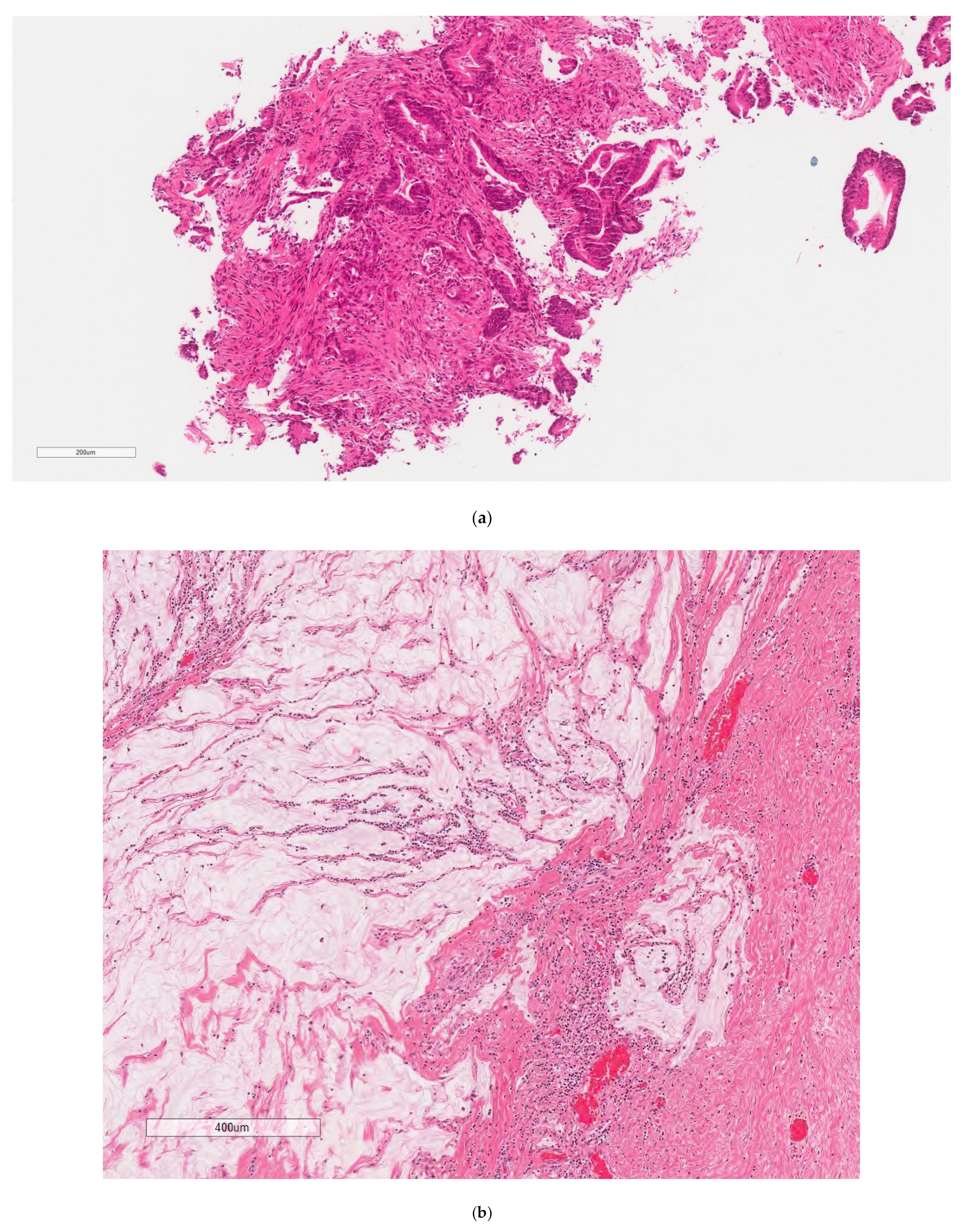 Curroncol 30 00653 g002a