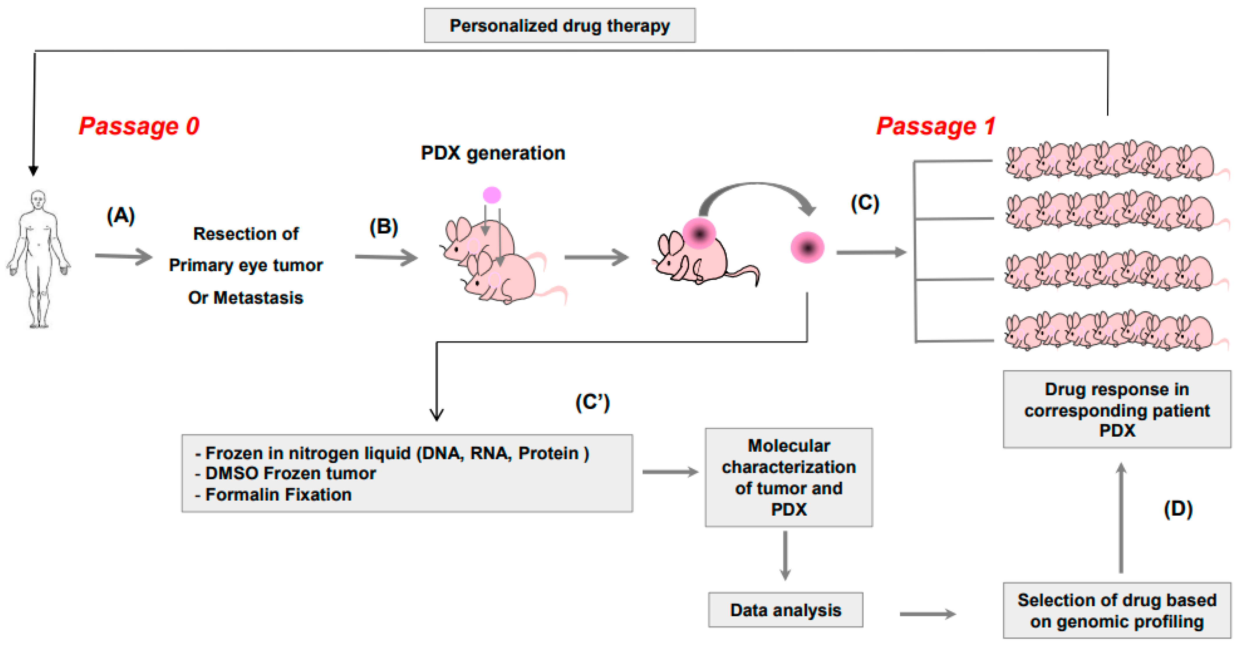Curroncol 30 00657 g001 Curroncol 30 00657 g001