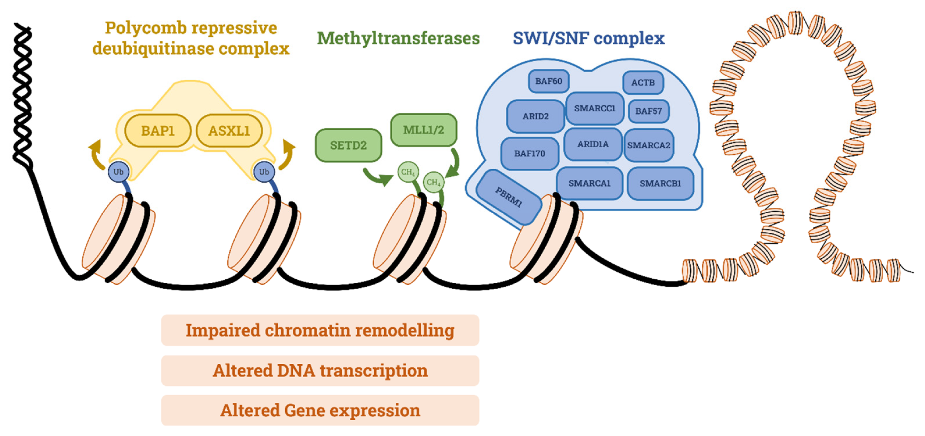 Curroncol 30 00670 g002 Curroncol 30 00670 g002
