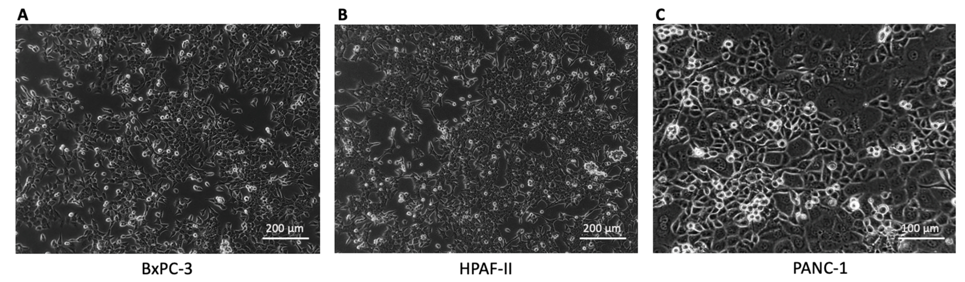 Curroncol 30 00696 g001