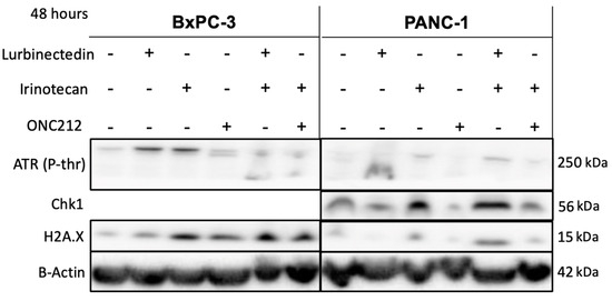 Curroncol 30 00696 g0a1