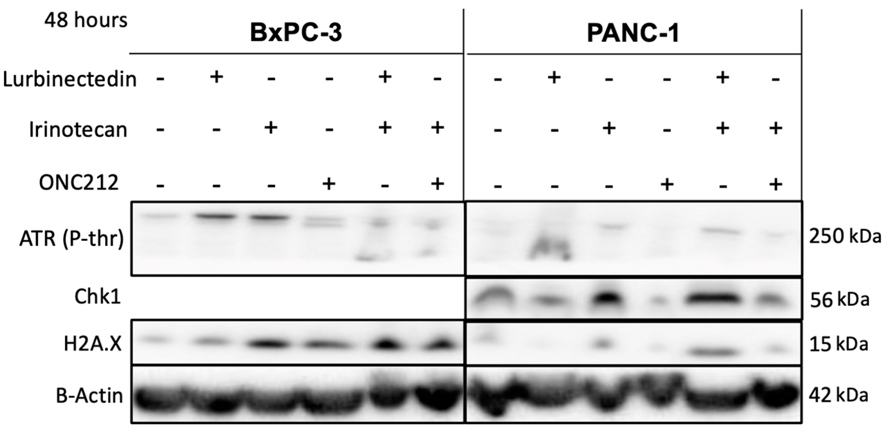 Curroncol 30 00696 g0a1