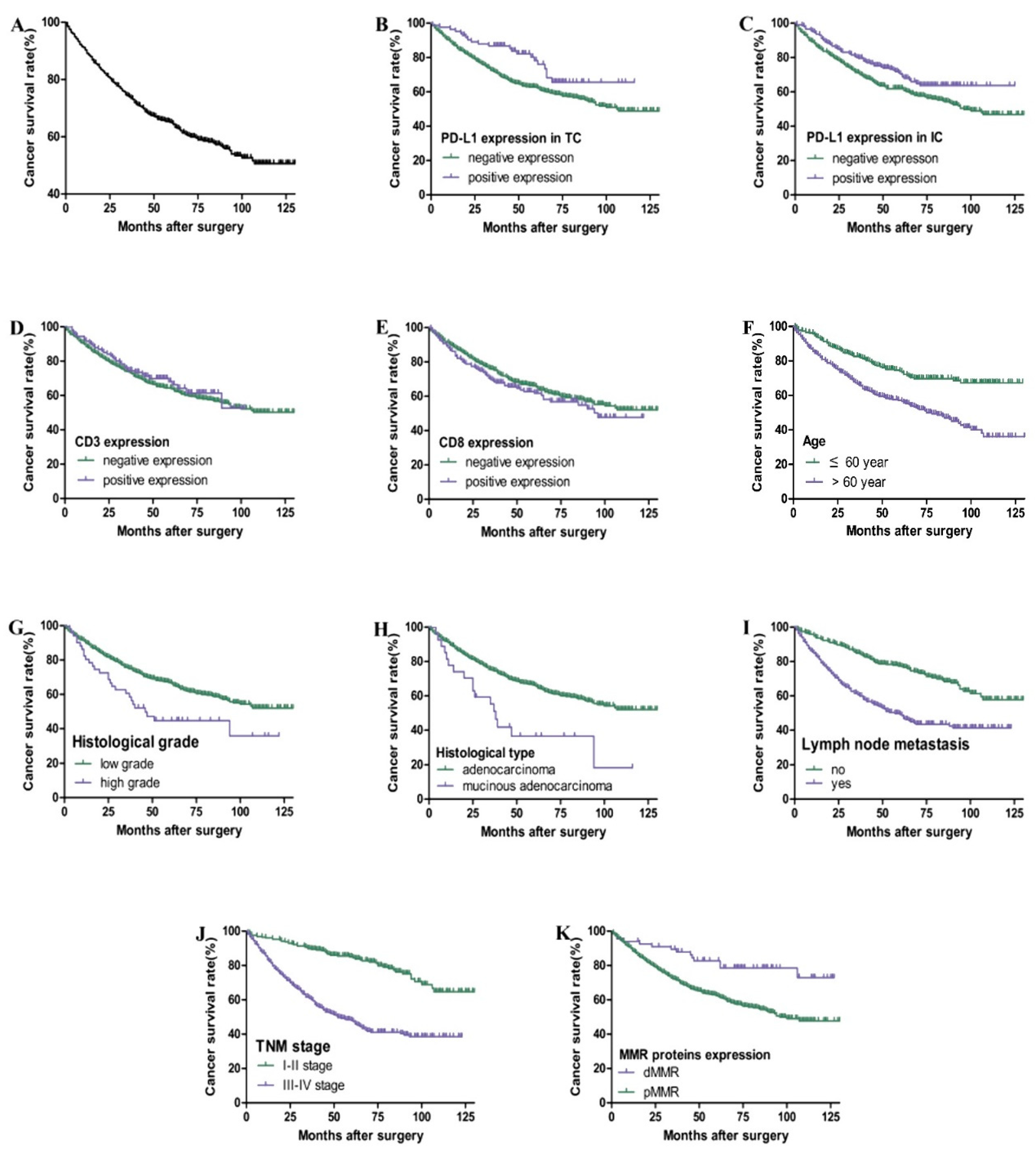 Curroncol 30 00699 g003